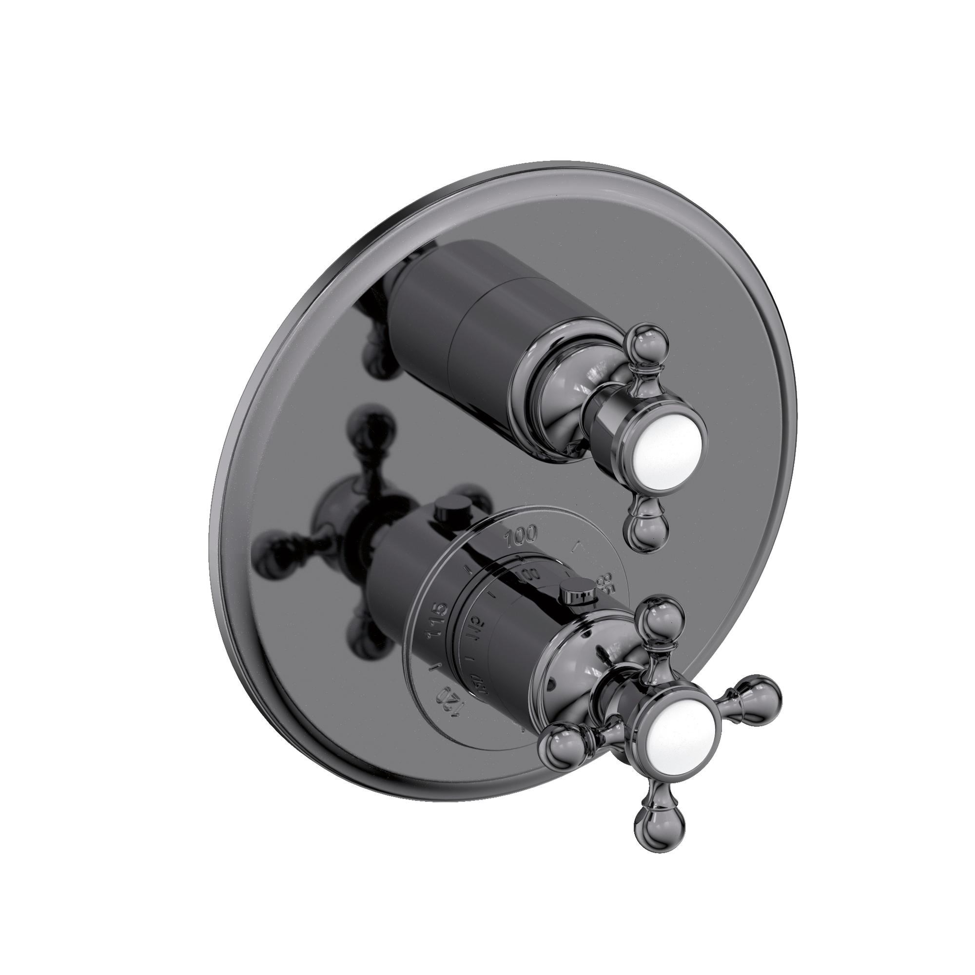 Newport Brass Astor® 1/2" Round Thermostatic Trim Plate with Handle 3-913TR