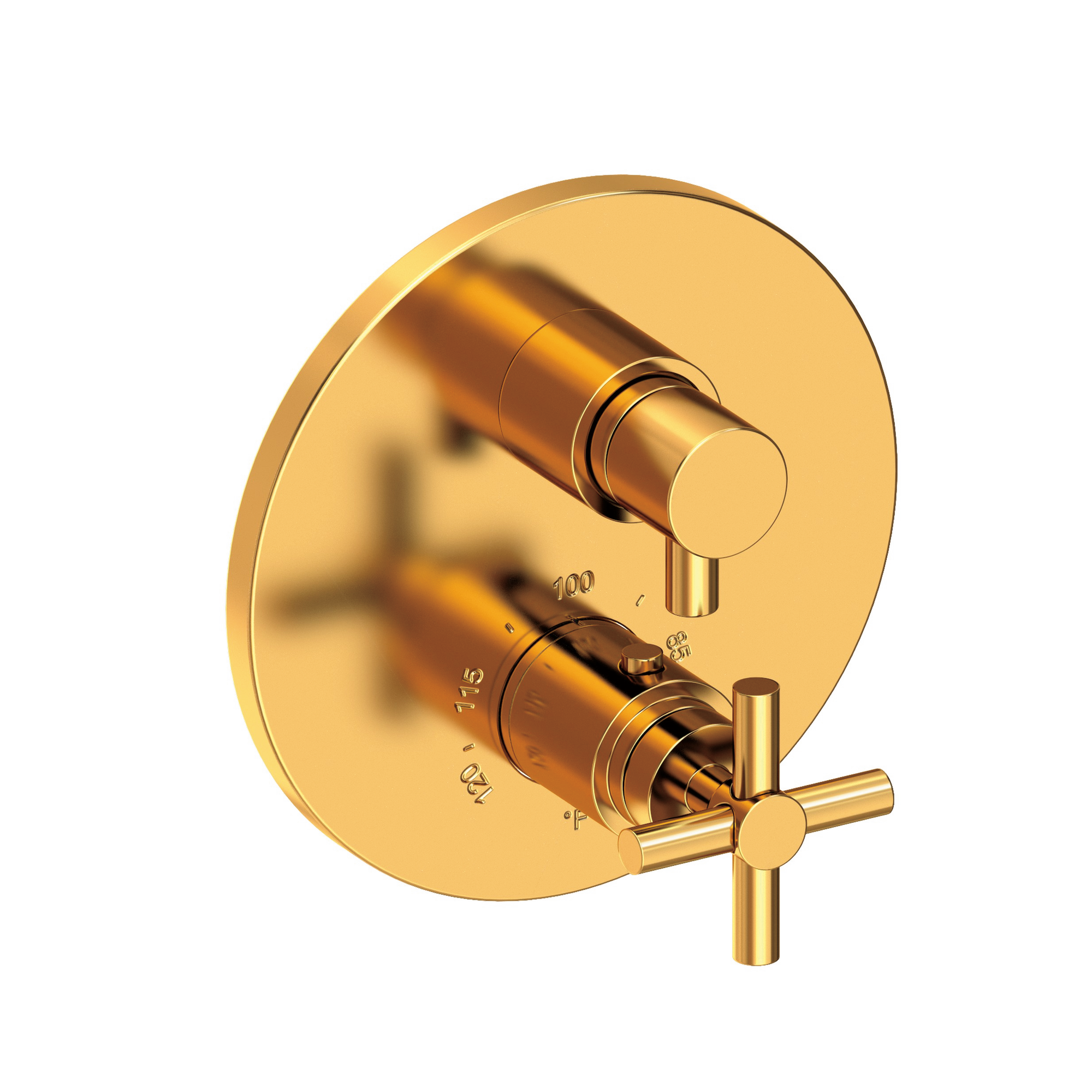 Newport Brass East Linear® 1/2" Round Thermostatic Trim Plate with Handle