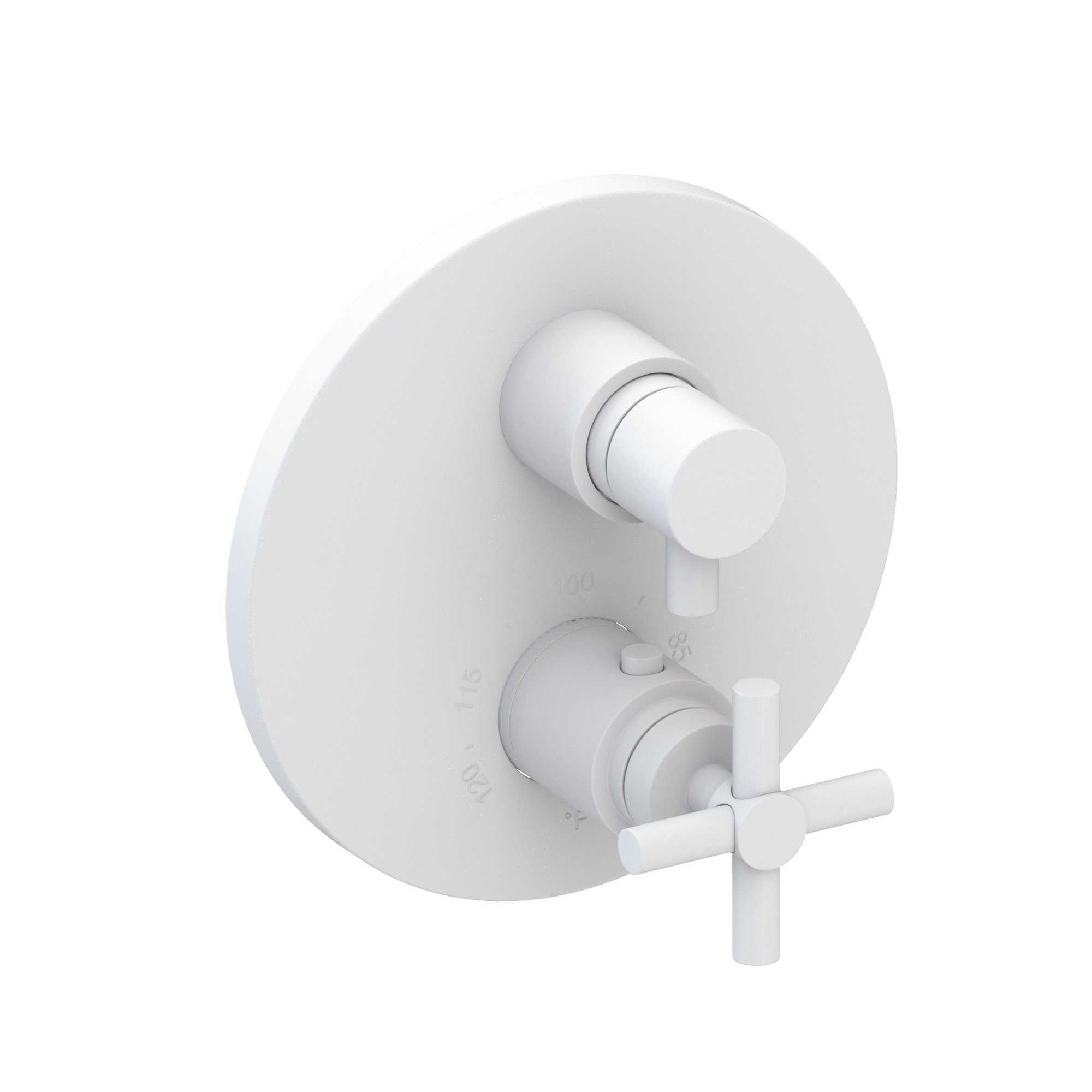 Newport Brass East Linear® 1/2" Round Thermostatic Trim Plate with Handle