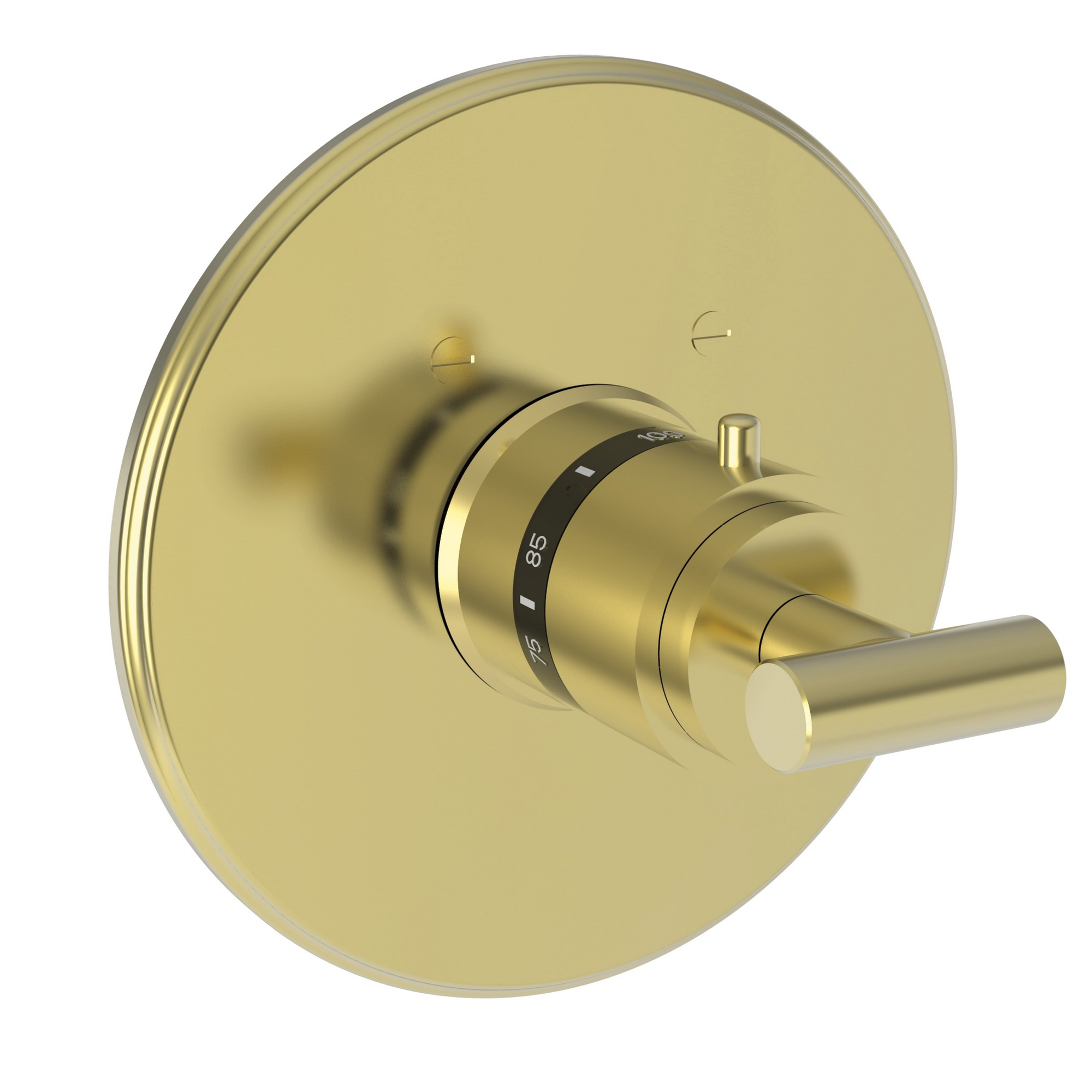 Newport Brass East Linear® 3/4" Round Thermostatic Trim Plate with Handle