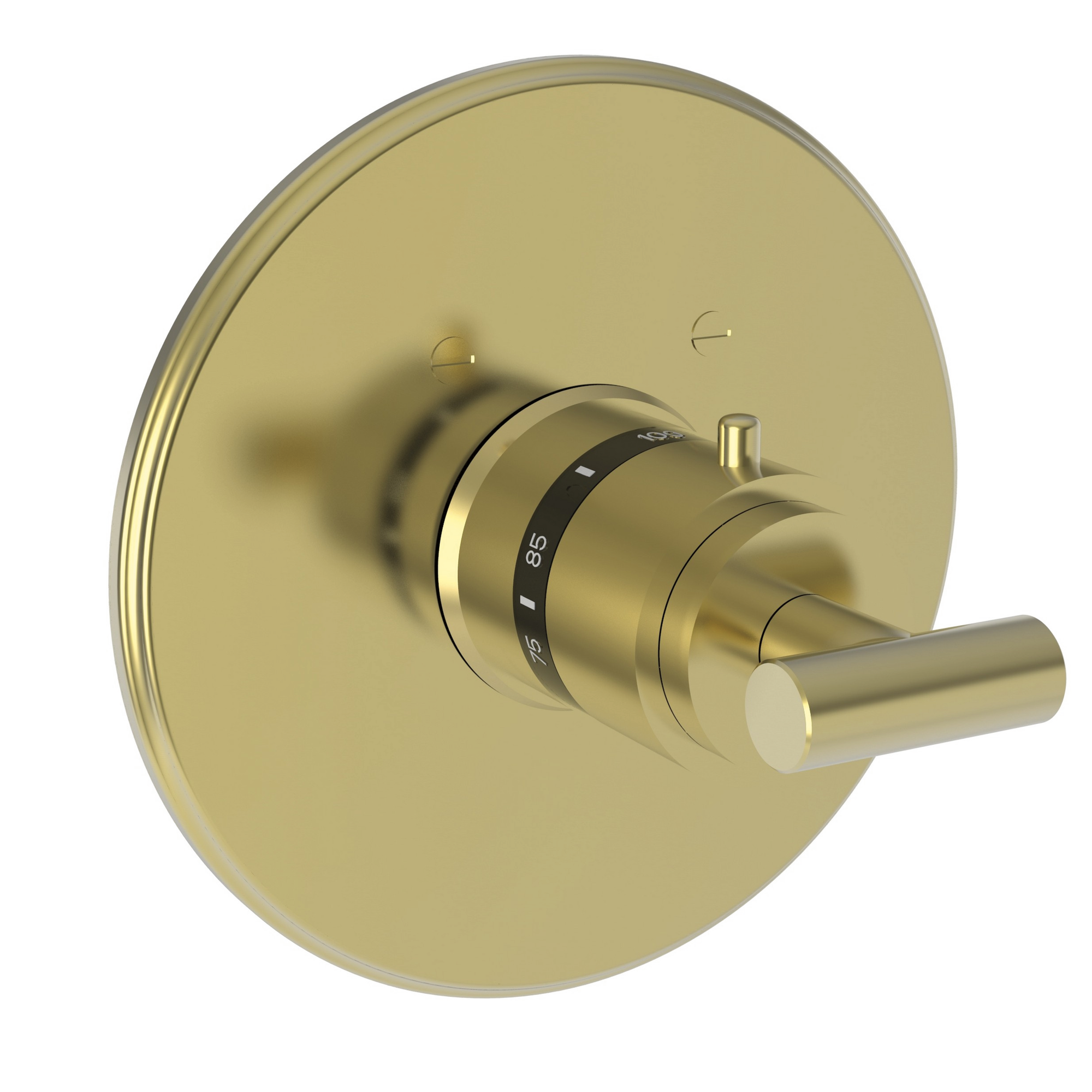 Newport Brass East Linear® 3/4" Round Thermostatic Trim Plate with Handle