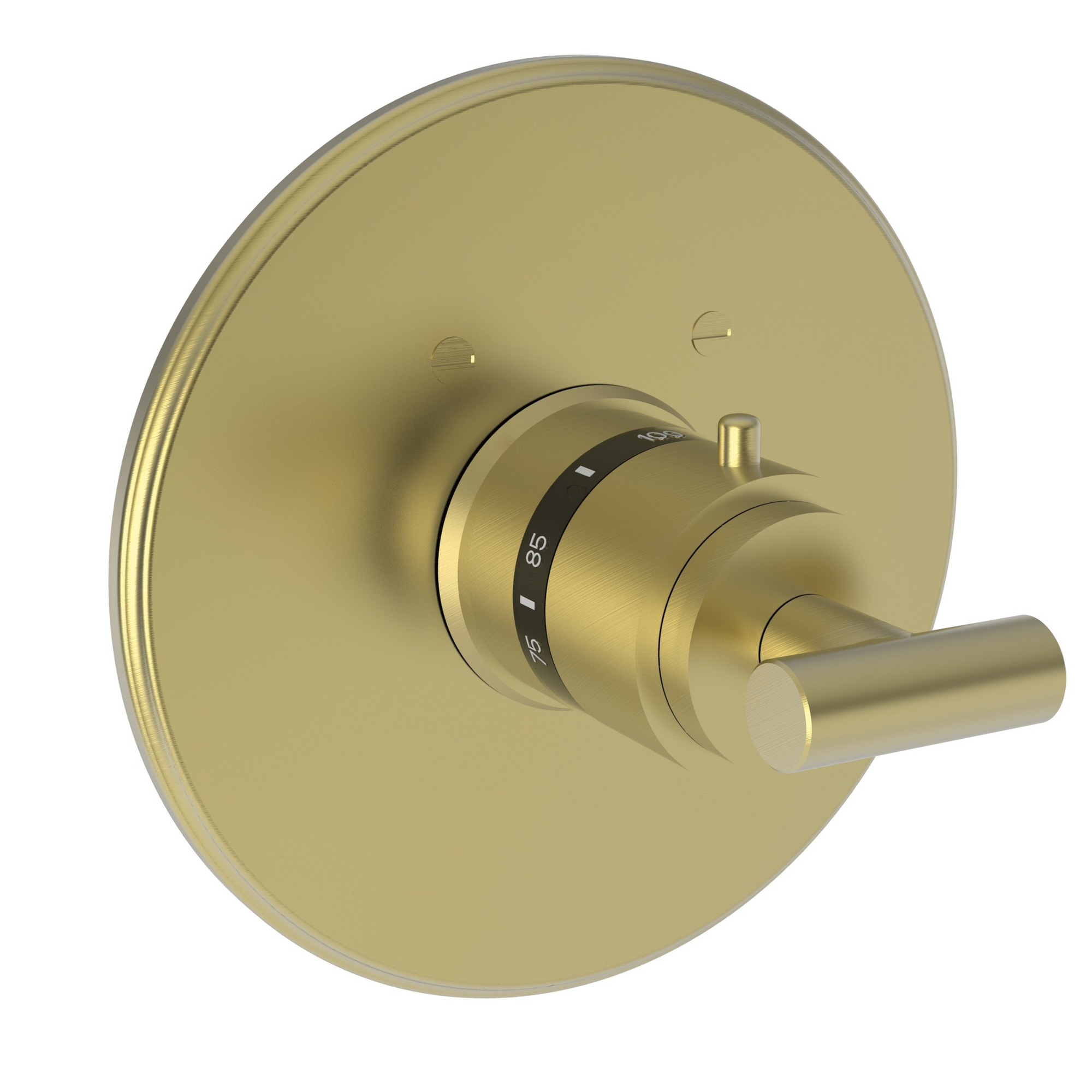 Newport Brass East Linear® 3/4" Round Thermostatic Trim Plate with Handle