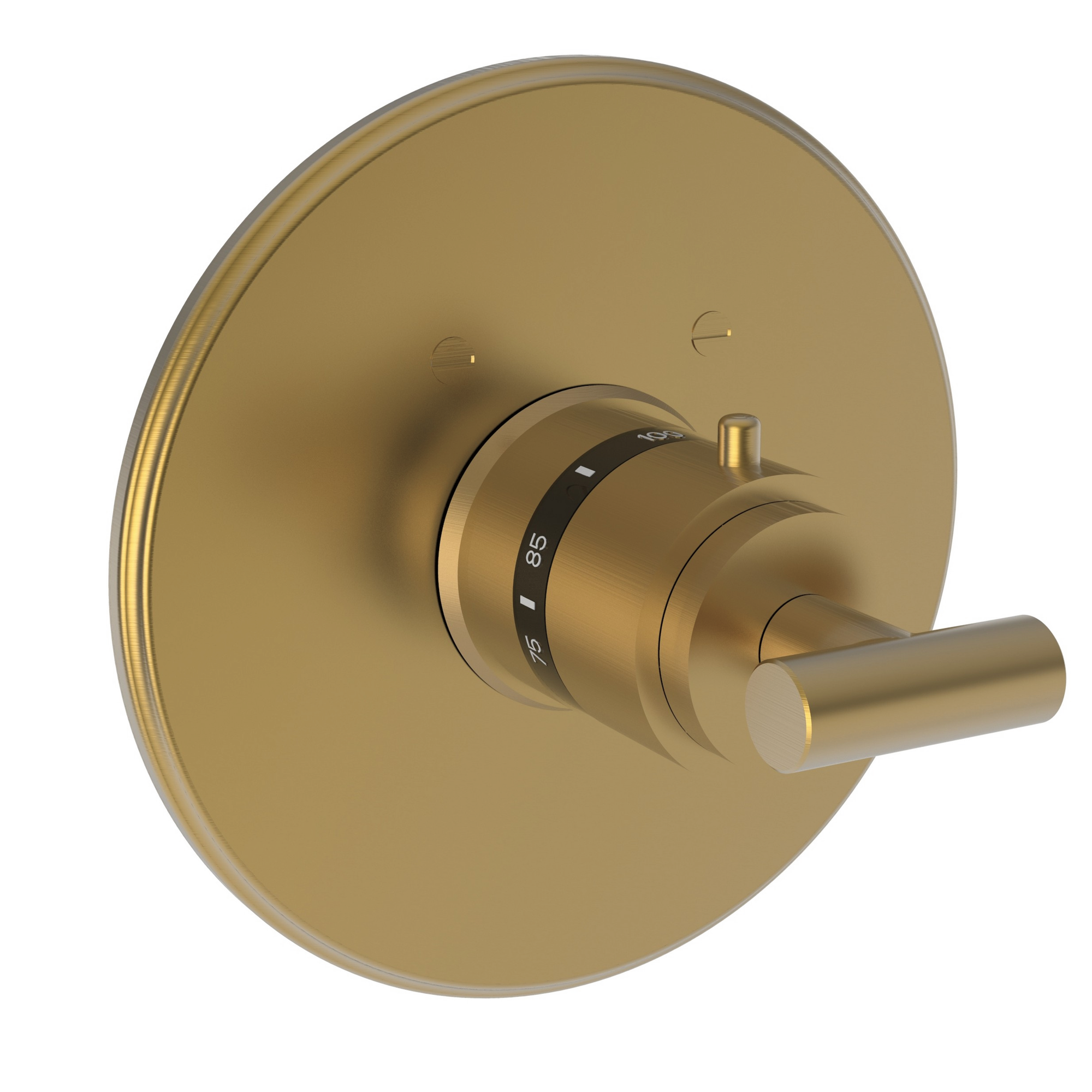 Newport Brass East Linear® 3/4" Round Thermostatic Trim Plate with Handle