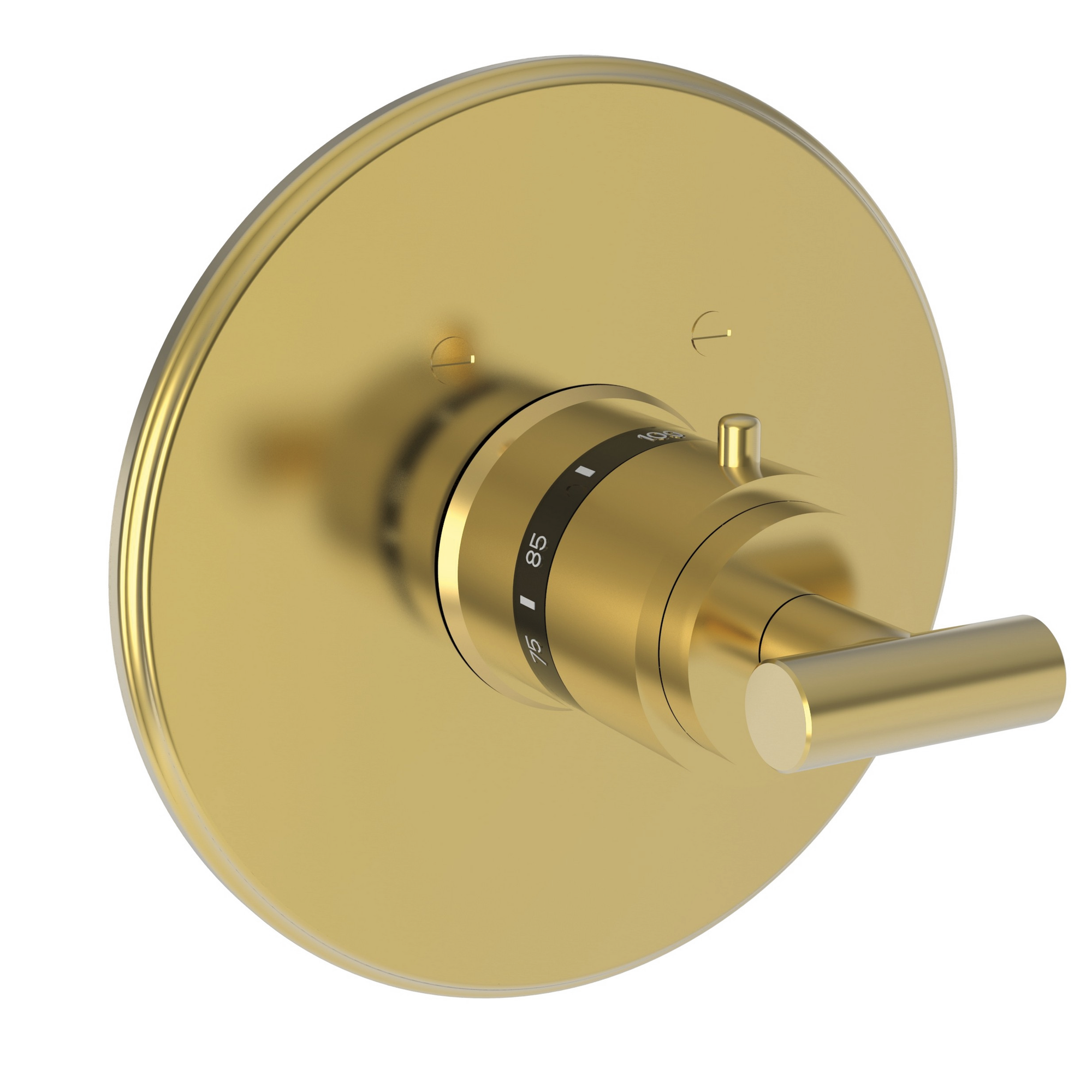 Newport Brass East Linear® 3/4" Round Thermostatic Trim Plate with Handle