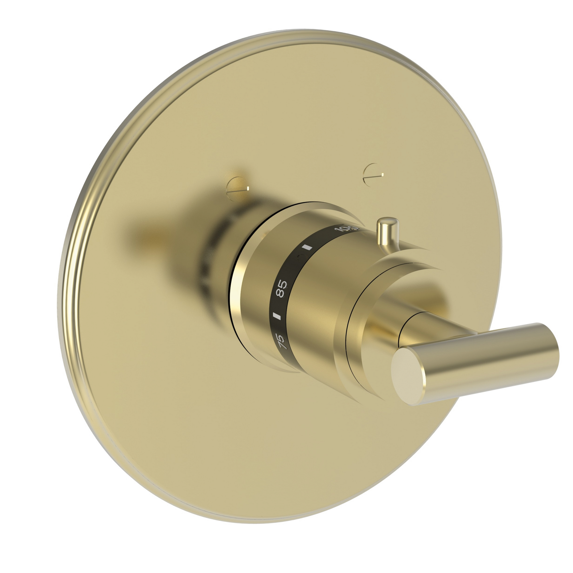 Newport Brass East Linear® 3/4" Round Thermostatic Trim Plate with Handle