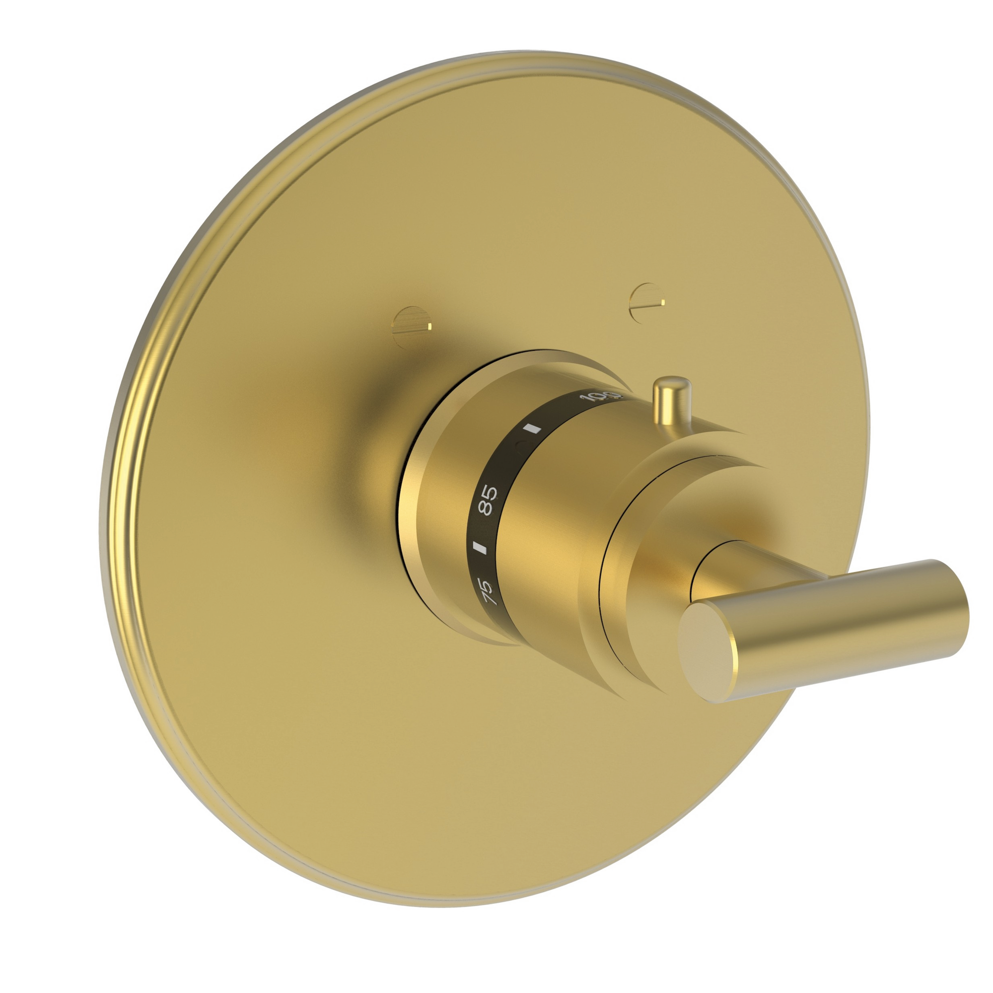 Newport Brass East Linear® 3/4" Round Thermostatic Trim Plate with Handle