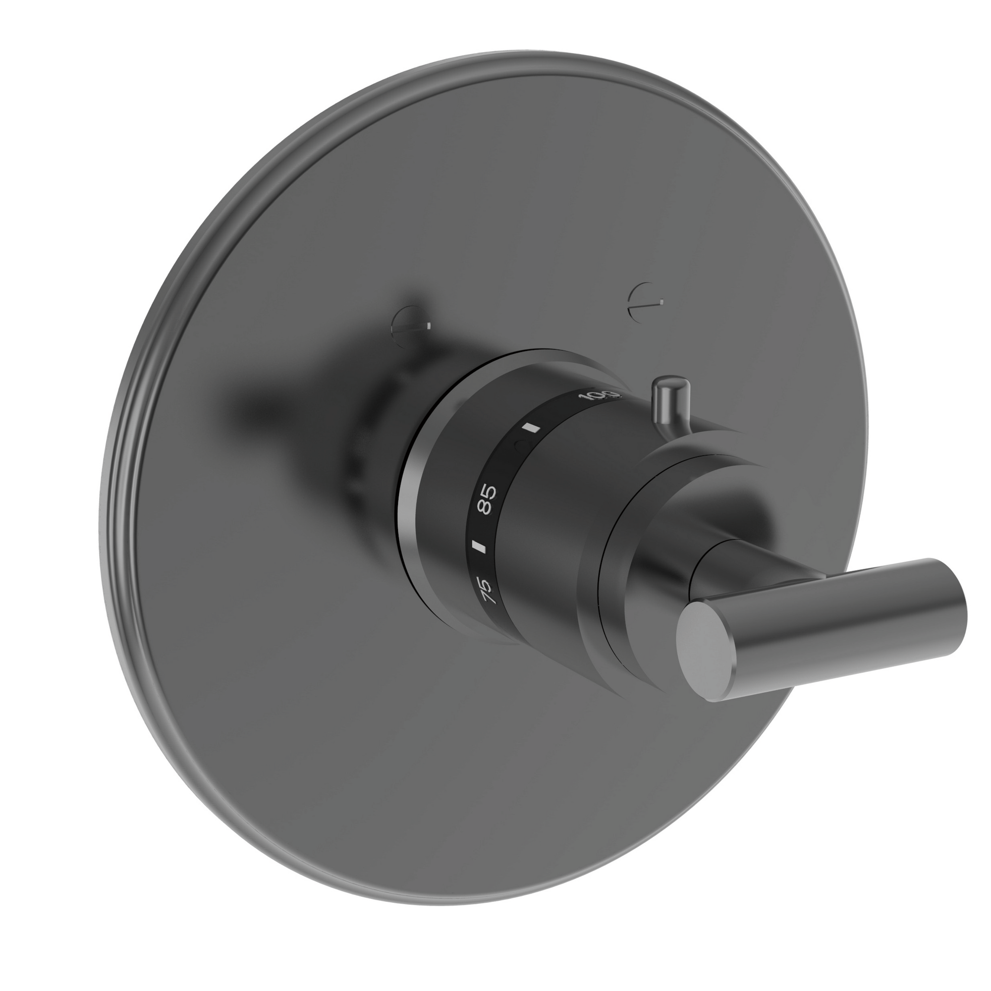 Newport Brass East Linear® 3/4" Round Thermostatic Trim Plate with Handle