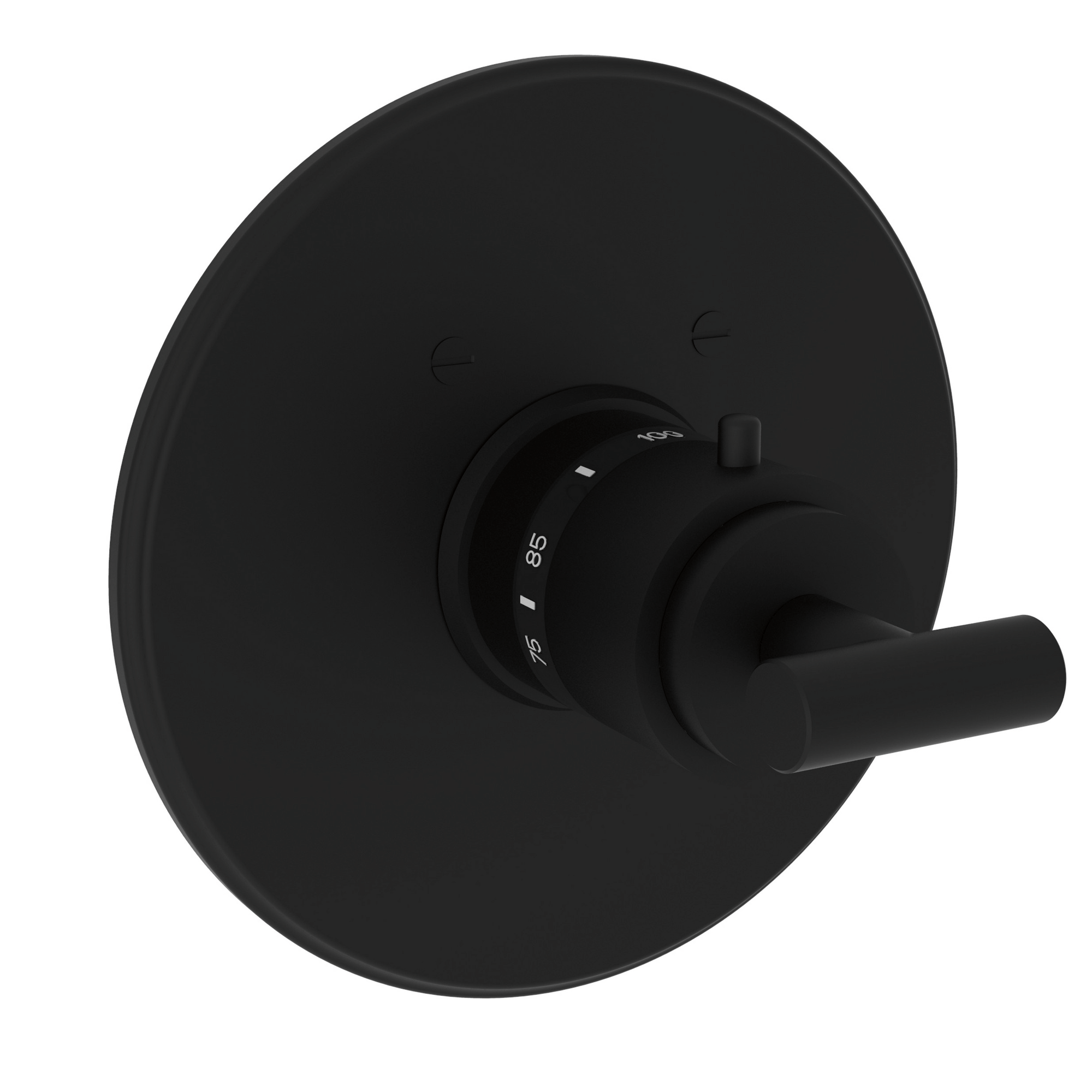 Newport Brass East Linear® 3/4" Round Thermostatic Trim Plate with Handle