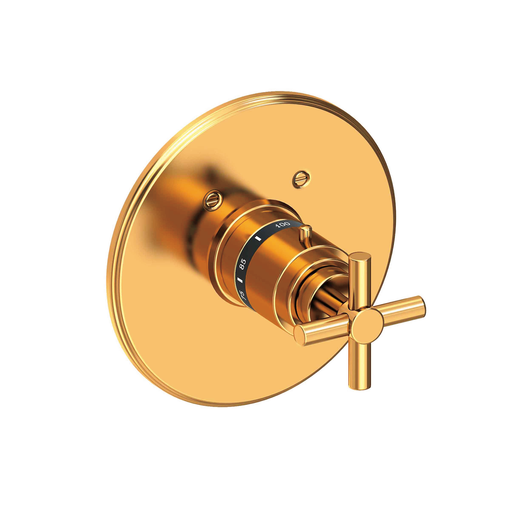 Newport Brass East Linear® 3/4" Round Thermostatic Trim Plate with Handle