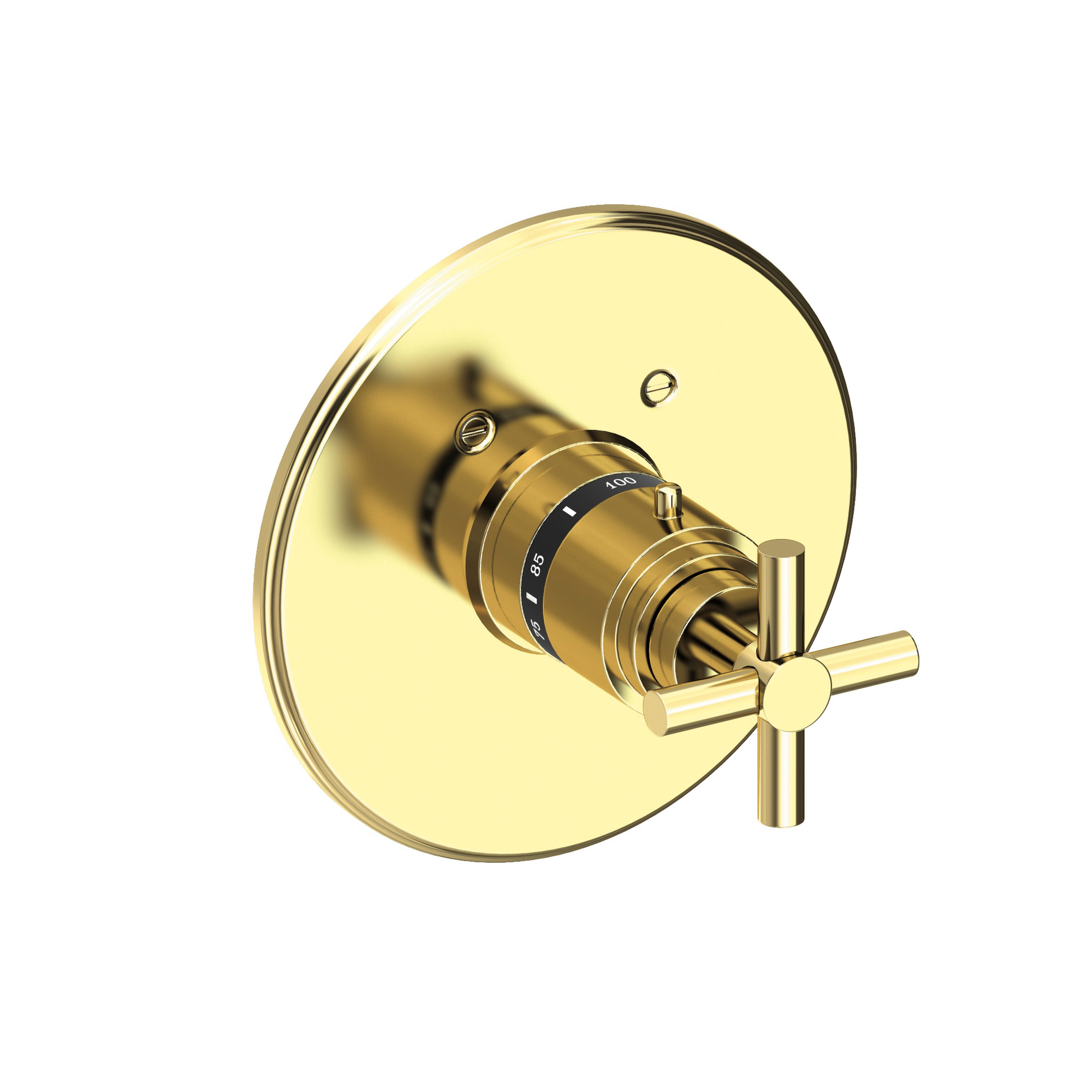 Newport Brass East Linear® 3/4" Round Thermostatic Trim Plate with Handle