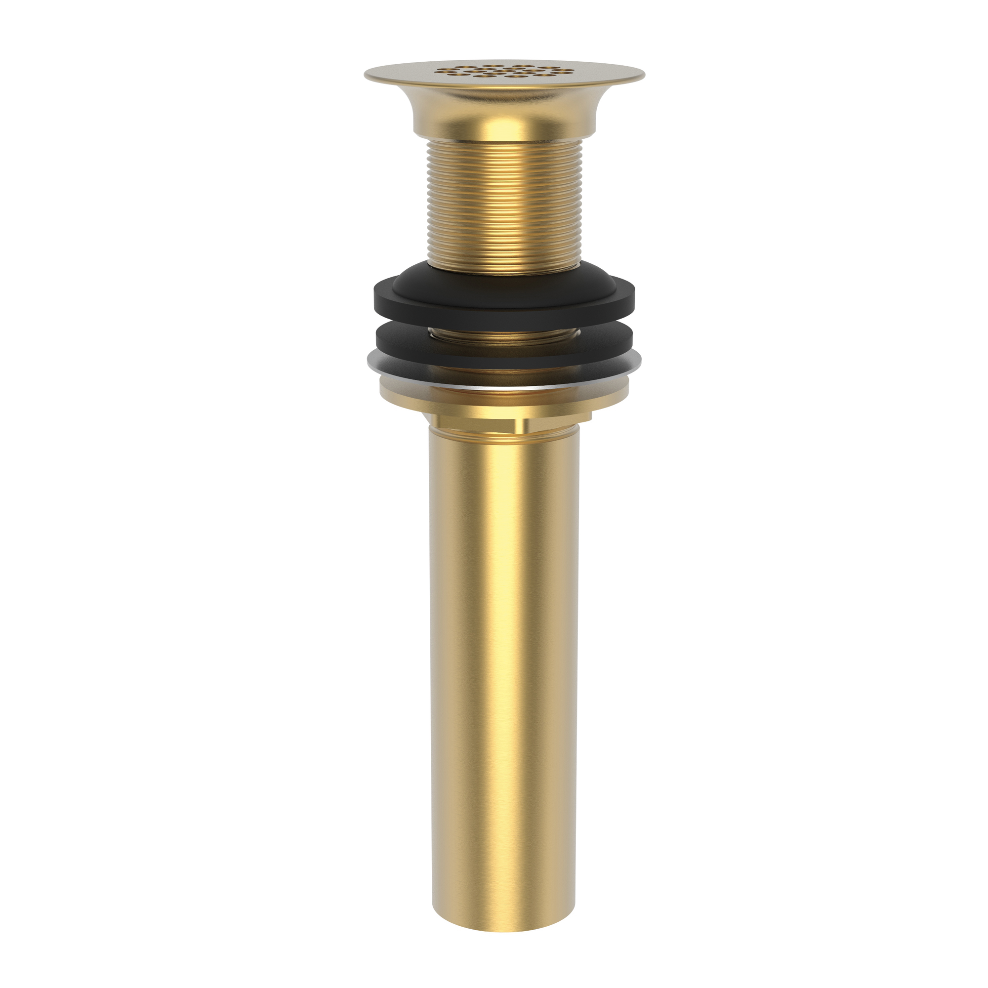 Newport Brass Brasstech Lavatory Drain