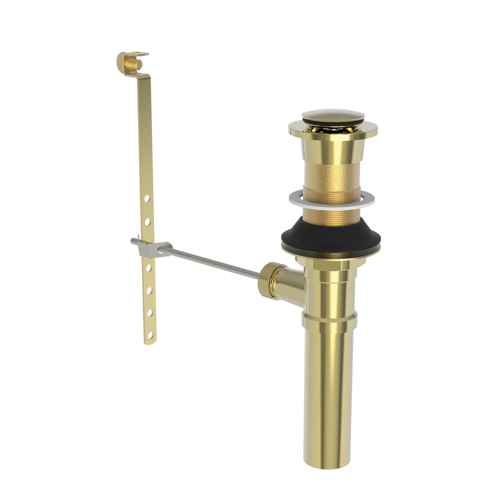 Newport Brass Brasstech Lavatory Drain