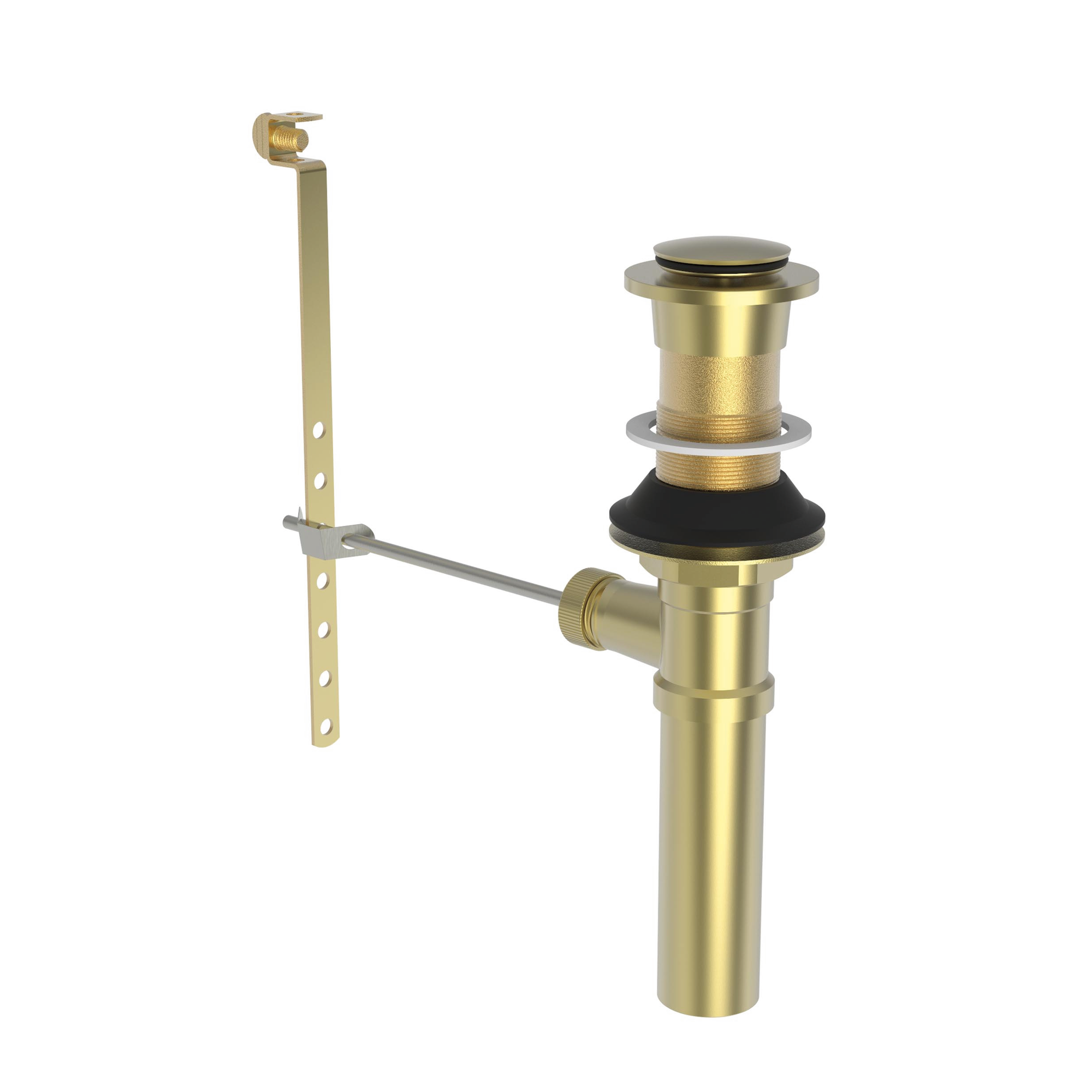 Newport Brass Brasstech Lavatory Drain