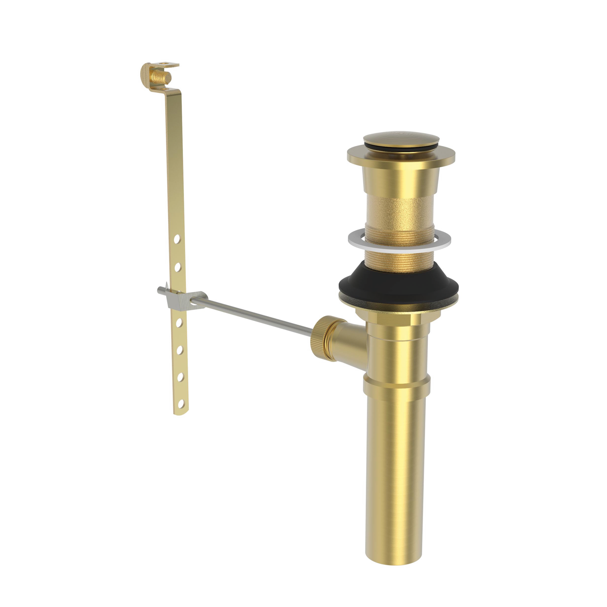 Newport Brass Brasstech Lavatory Drain