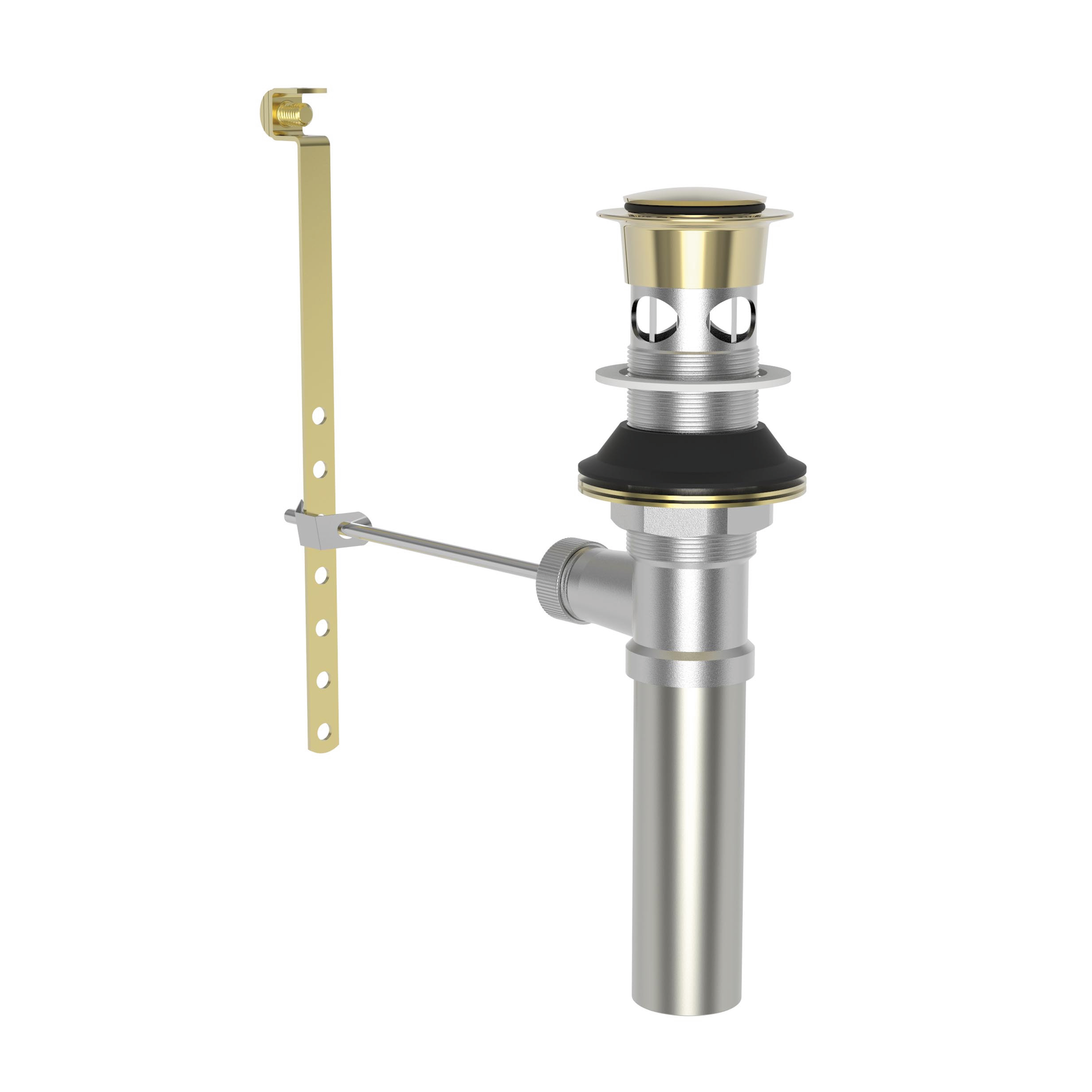 Newport Brass Brasstech Lavatory Drain