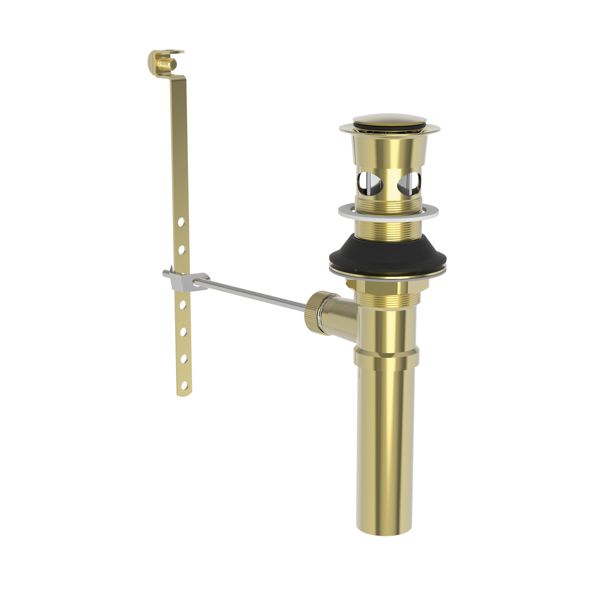 Newport Brass Brasstech Lavatory Drain