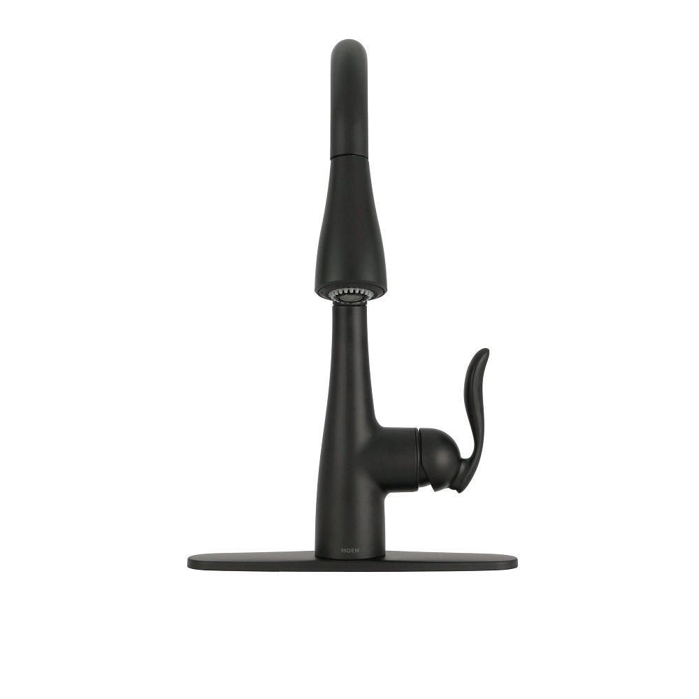 Arbor One-Handle High Arc Pulldown Kitchen Faucet