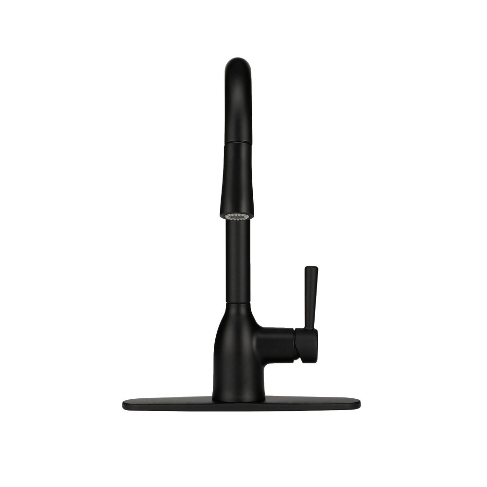 Adler One-Handle High Arc Pulldown Kitchen Faucet