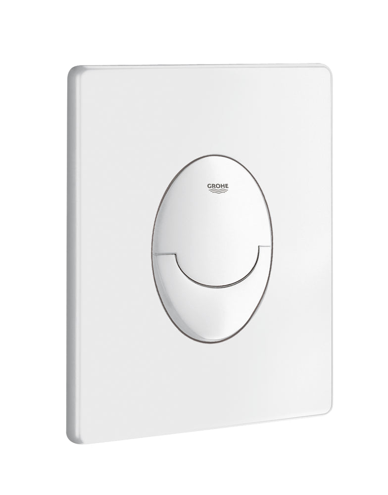 Grohe Wall Plate 38505