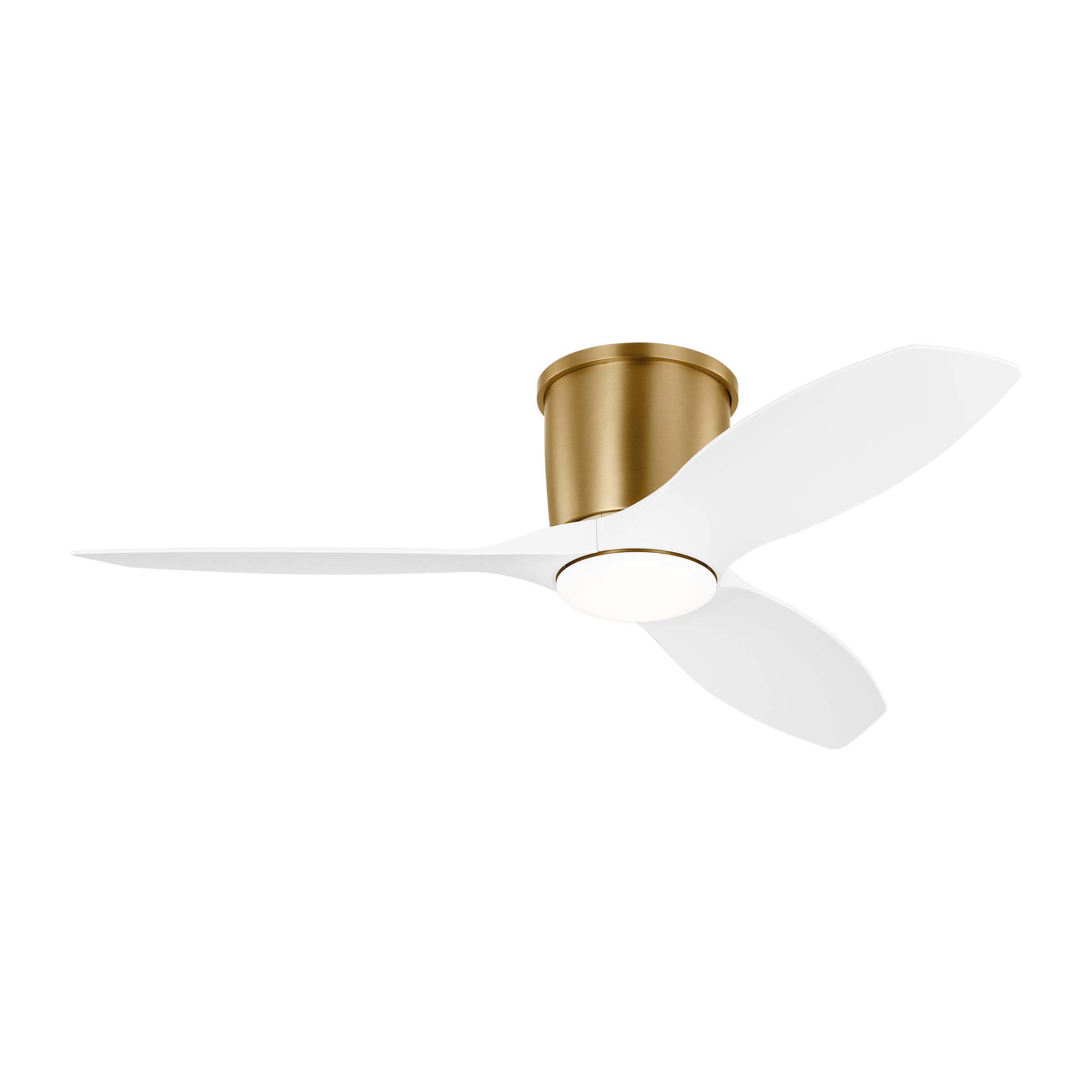Titus 44" Ceiling Fan