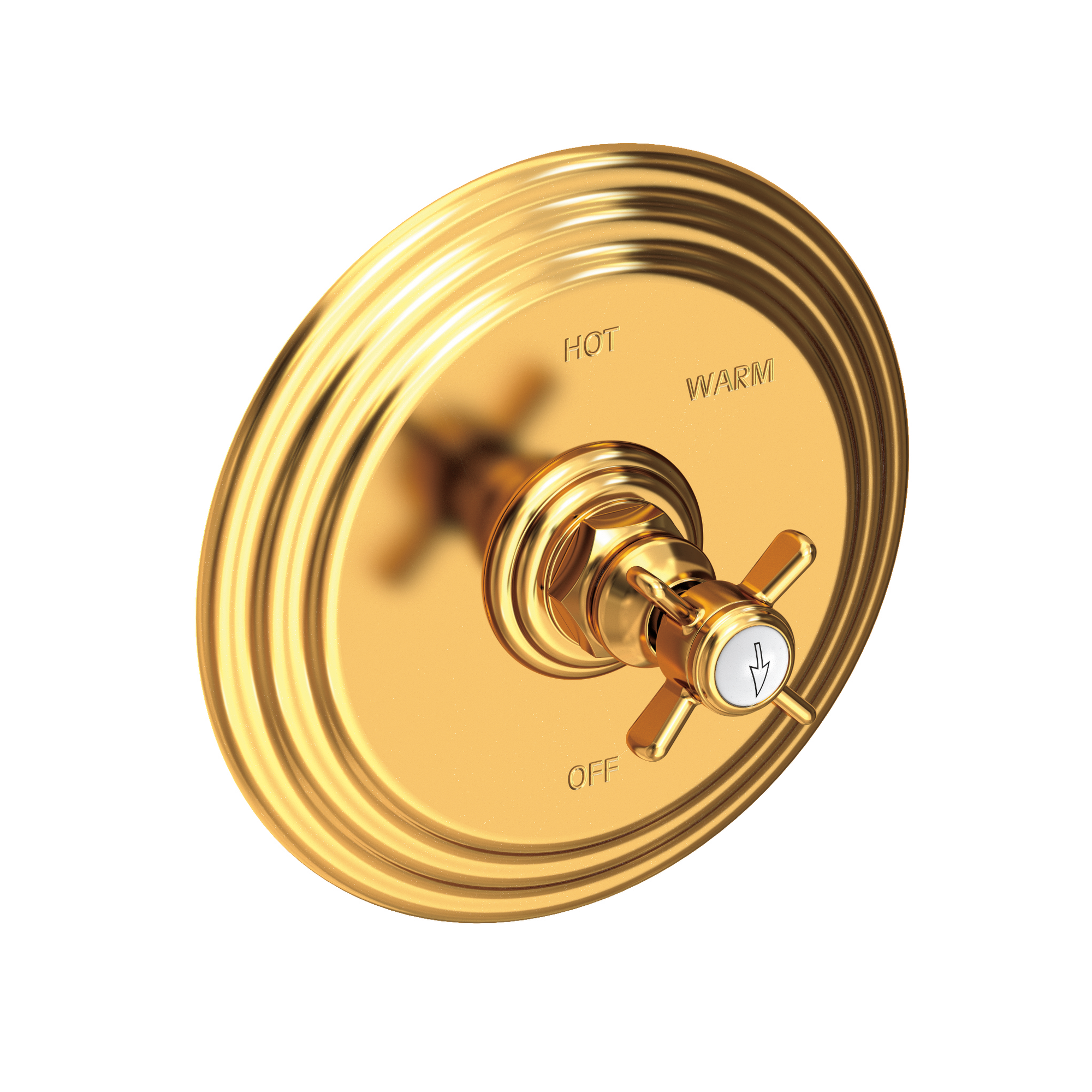 Newport Brass Fairfield Balanced Pressure Shower Trim Plate with Handle
