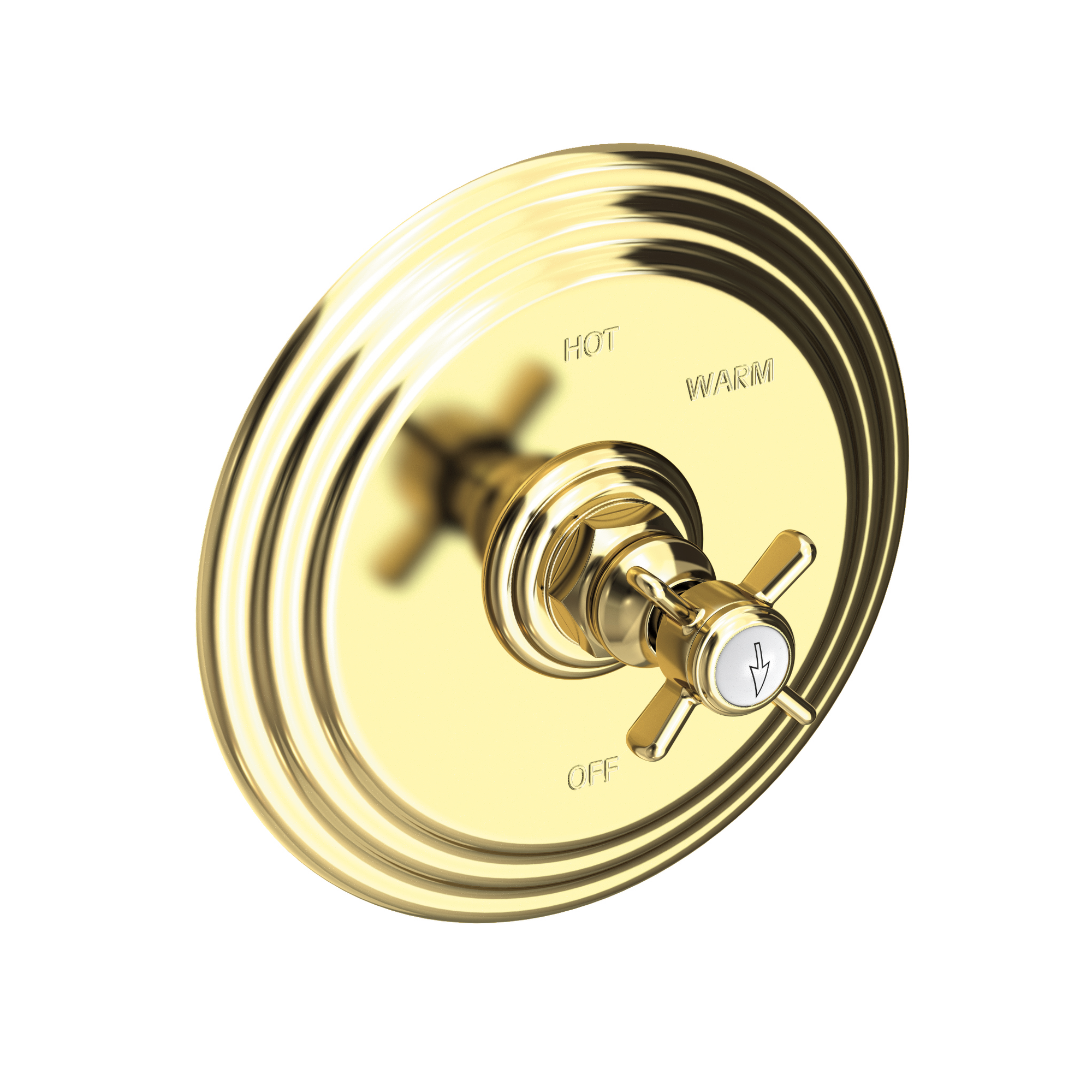 Newport Brass Fairfield Balanced Pressure Shower Trim Plate with Handle