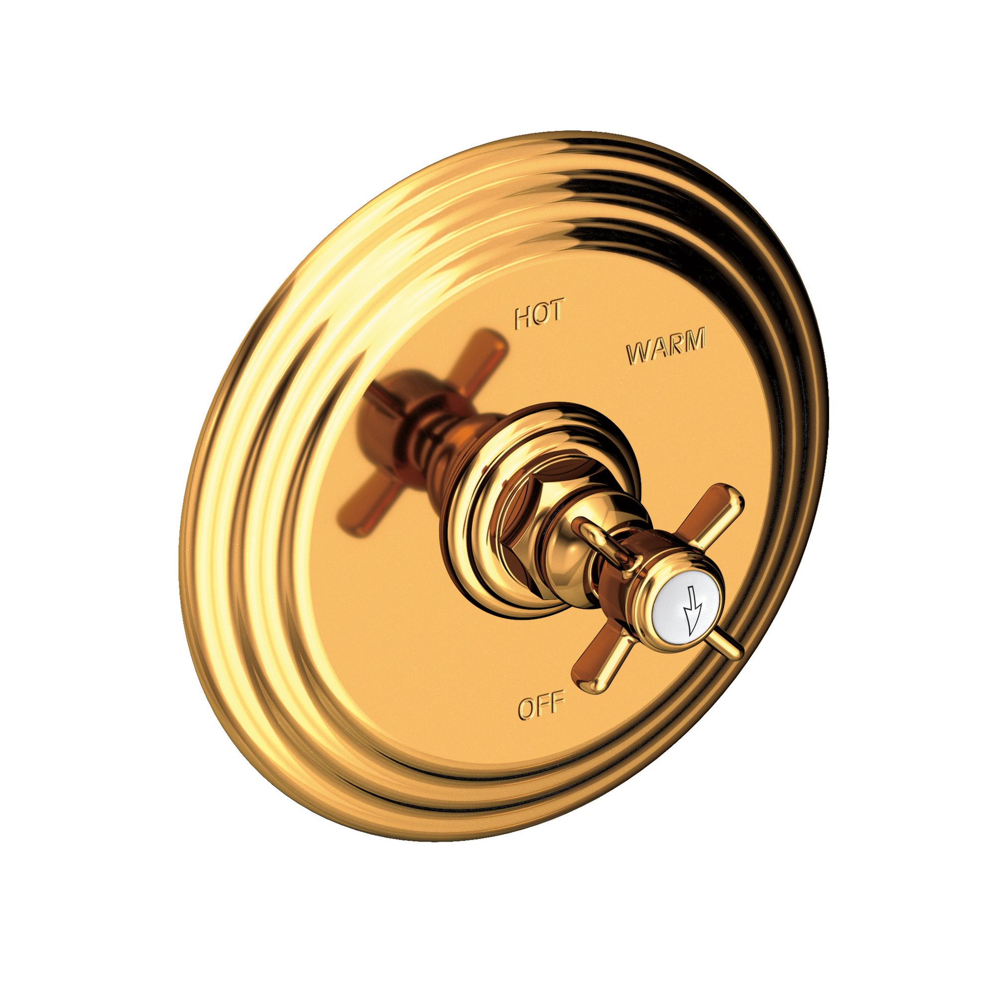 Newport Brass Fairfield Balanced Pressure Shower Trim Plate with Handle