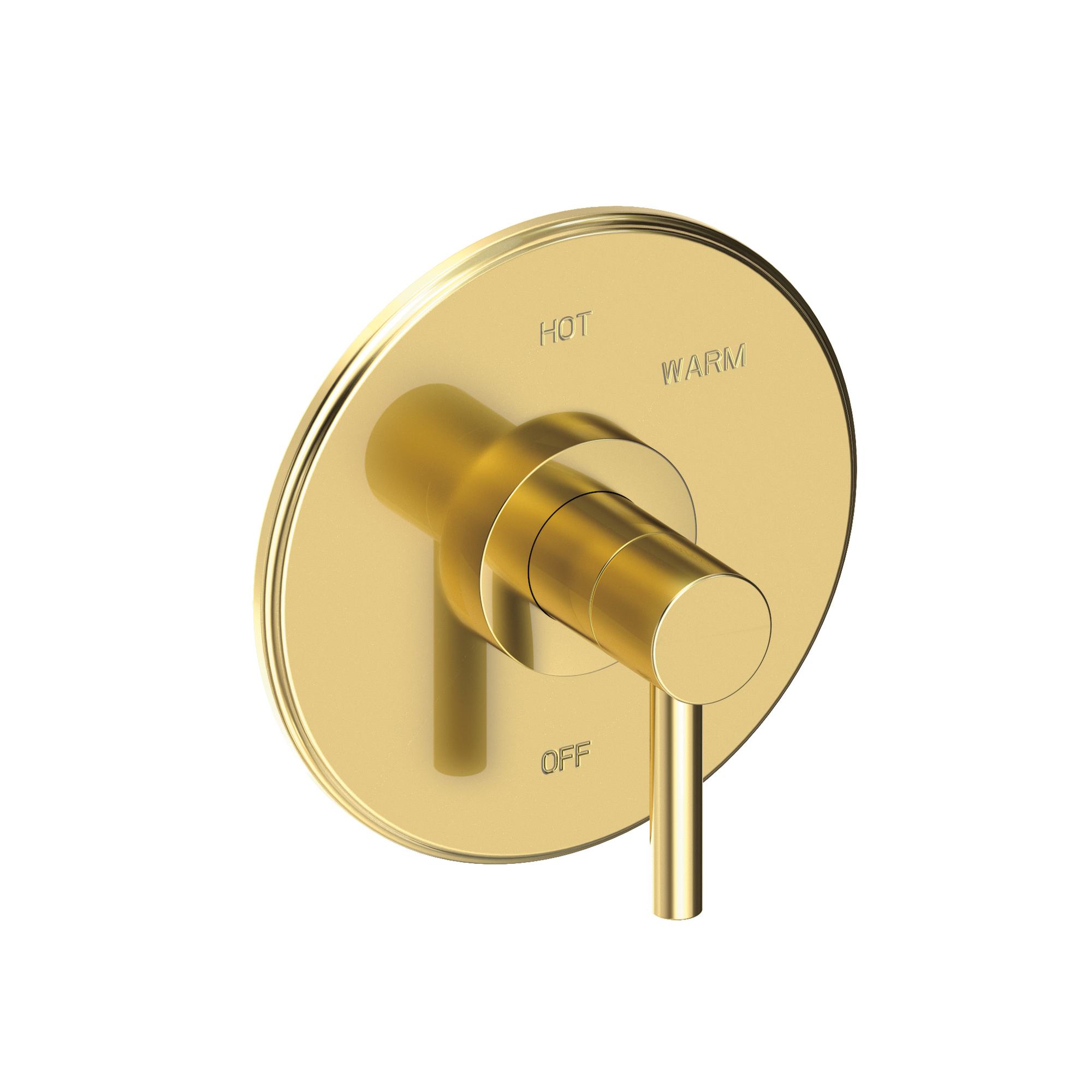 Newport Brass East Linear® Balanced Pressure Shower Trim Plate with Handle