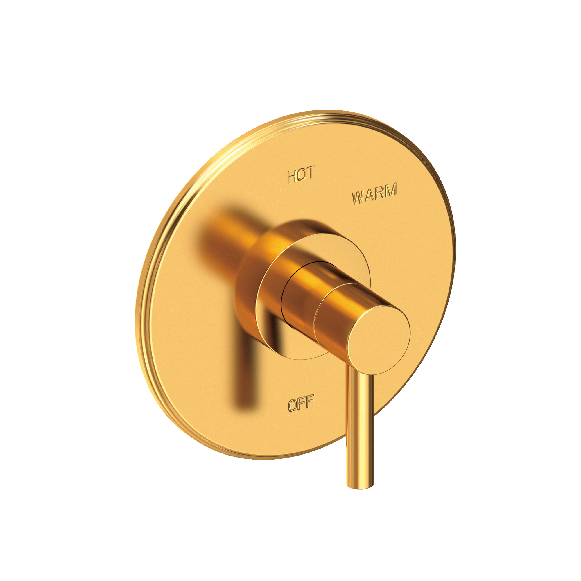 Newport Brass East Linear® Balanced Pressure Shower Trim Plate with Handle