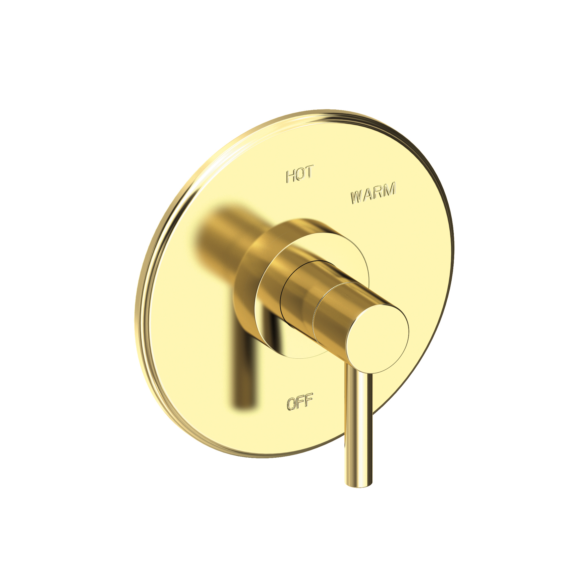 Newport Brass East Linear® Balanced Pressure Shower Trim Plate with Handle