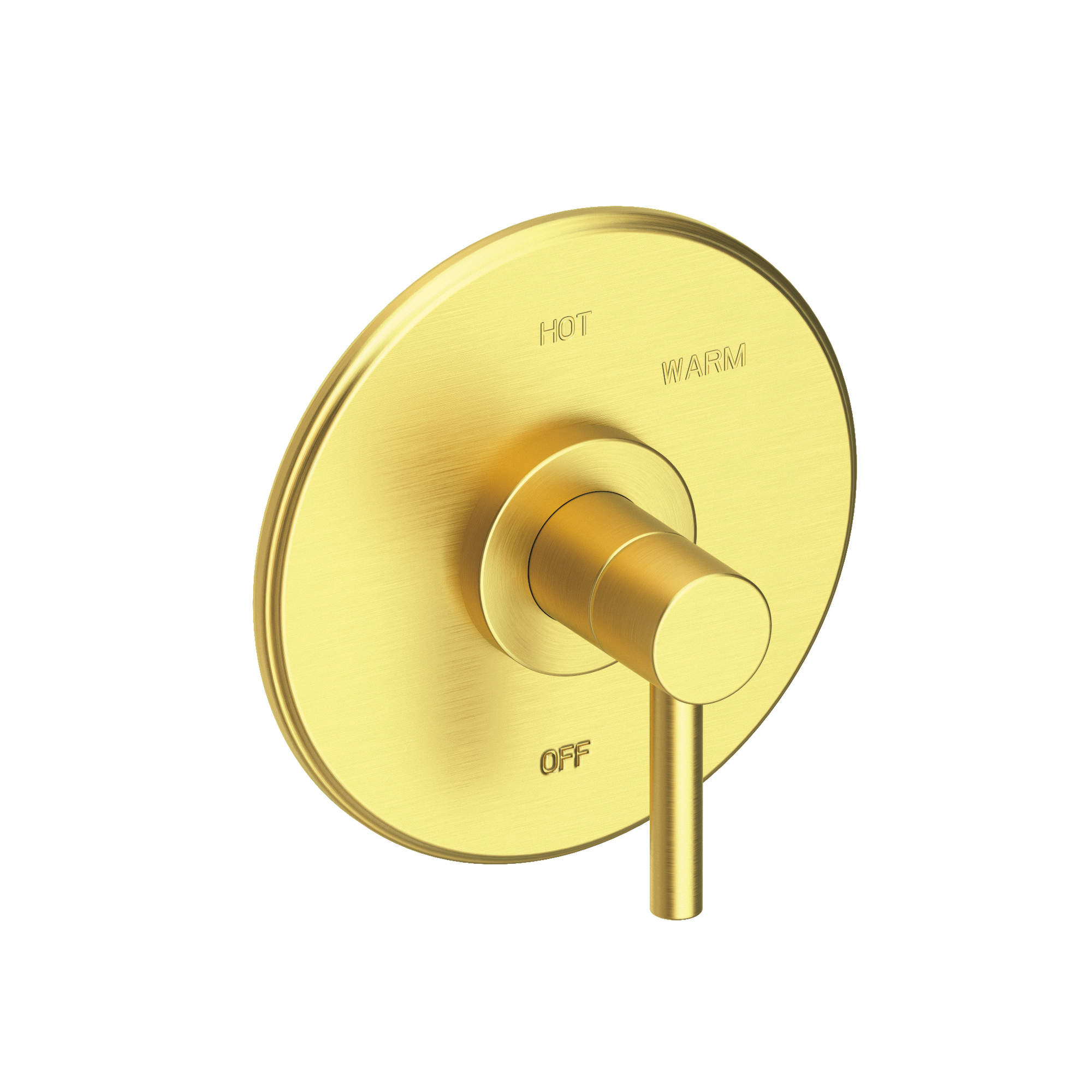 Newport Brass East Linear® Balanced Pressure Shower Trim Plate with Handle