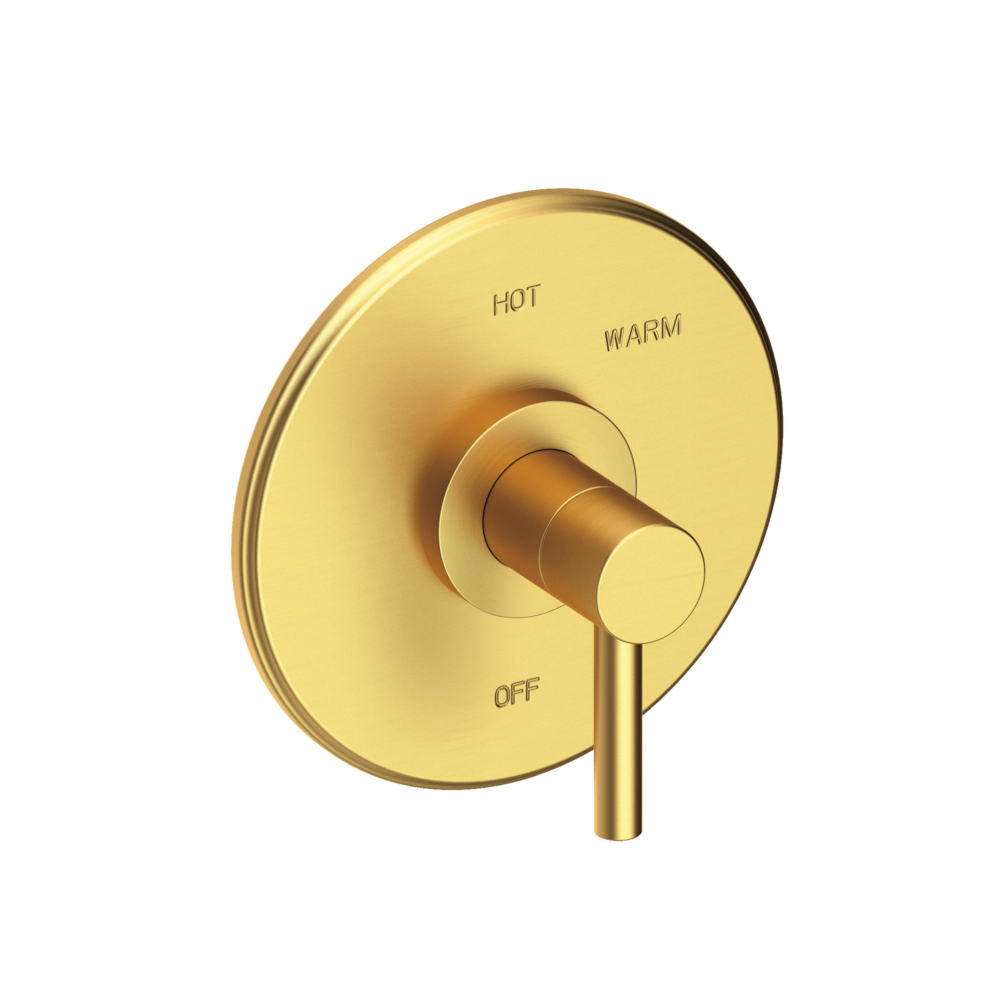 Newport Brass East Linear® Balanced Pressure Shower Trim Plate with Handle