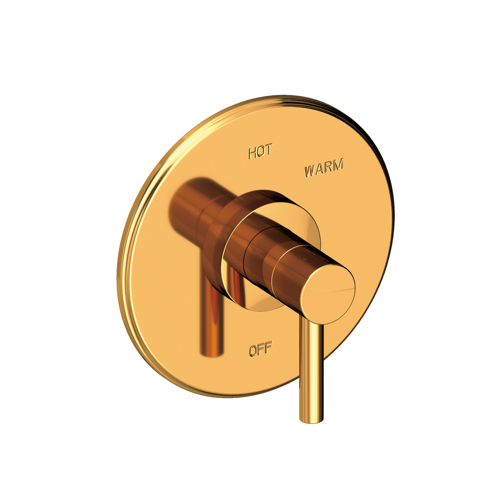 Newport Brass East Linear® Balanced Pressure Shower Trim Plate with Handle