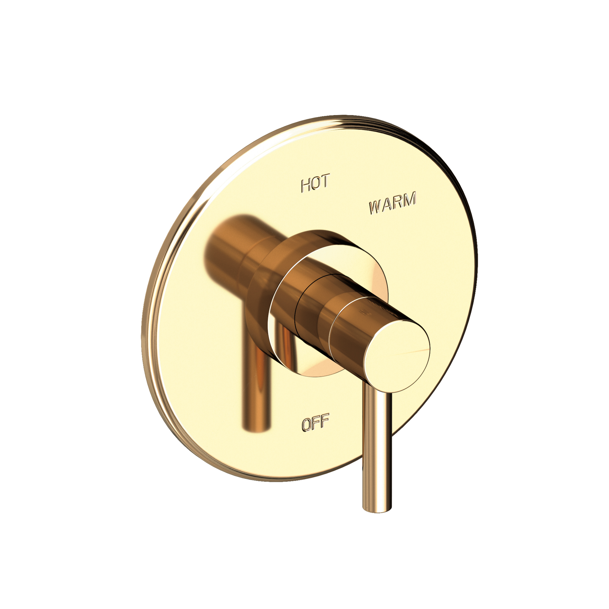 Newport Brass East Linear® Balanced Pressure Shower Trim Plate with Handle