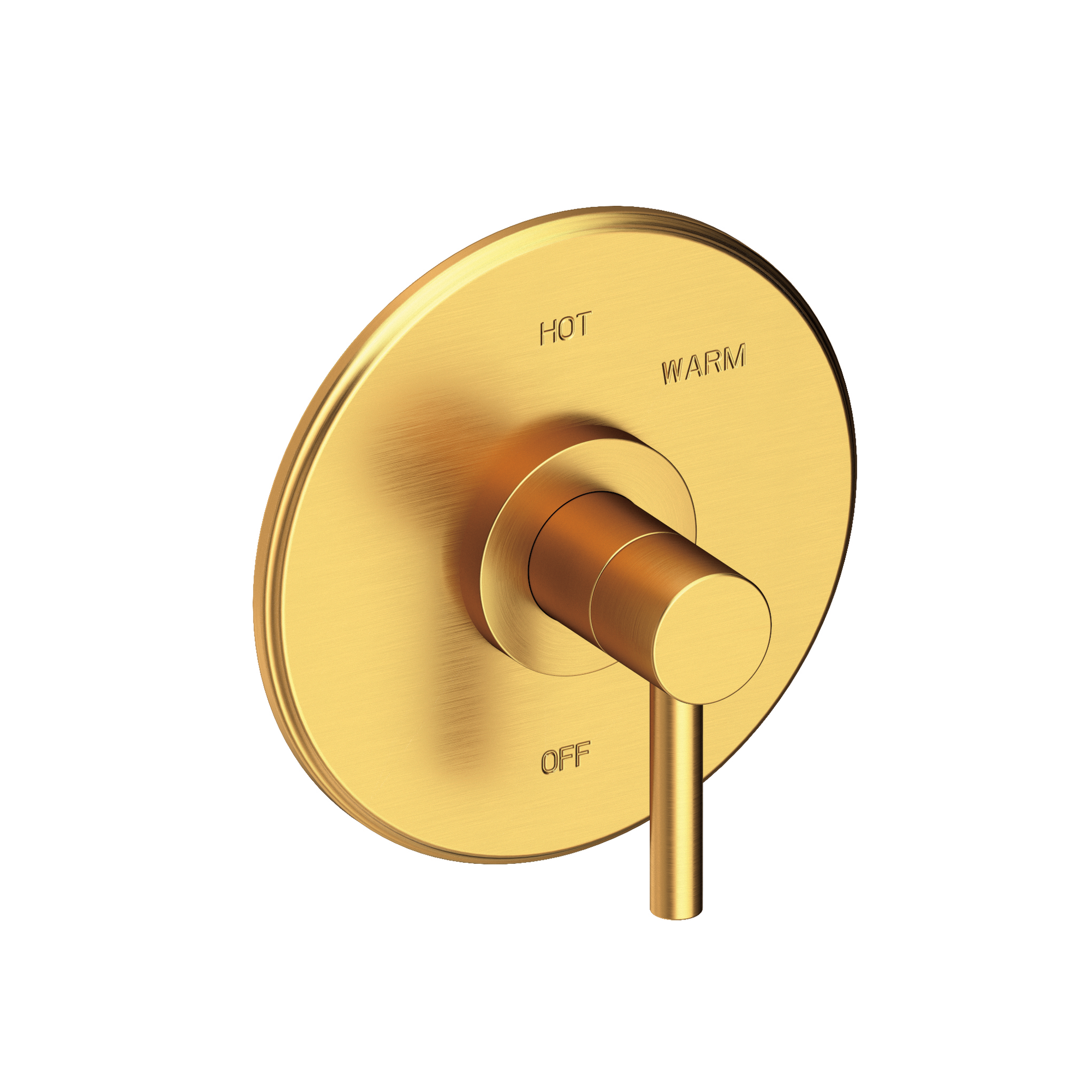 Newport Brass East Linear® Balanced Pressure Shower Trim Plate with Handle