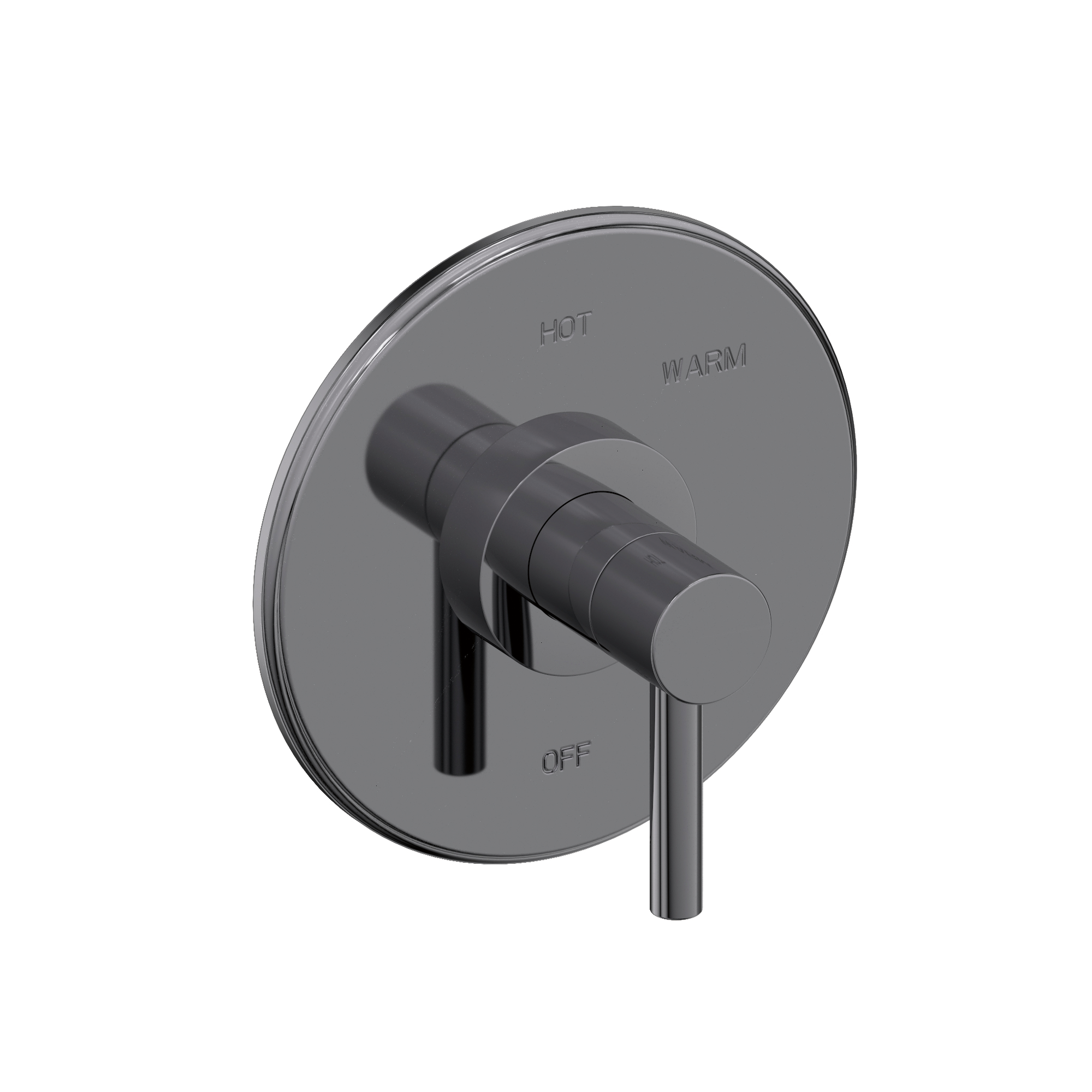 Newport Brass East Linear® Balanced Pressure Shower Trim Plate with Handle