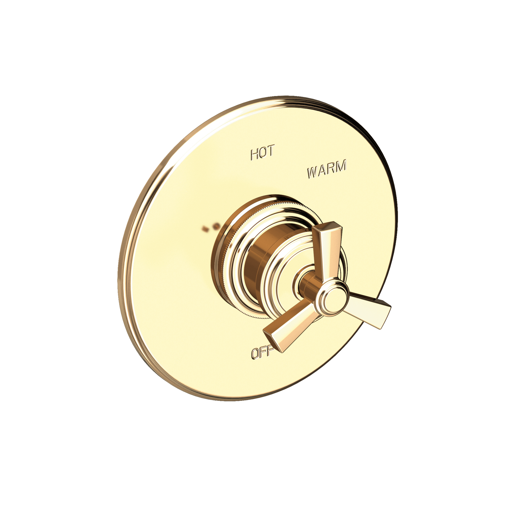 Newport Brass Miro Balanced Pressure Shower Trim Plate with Handle