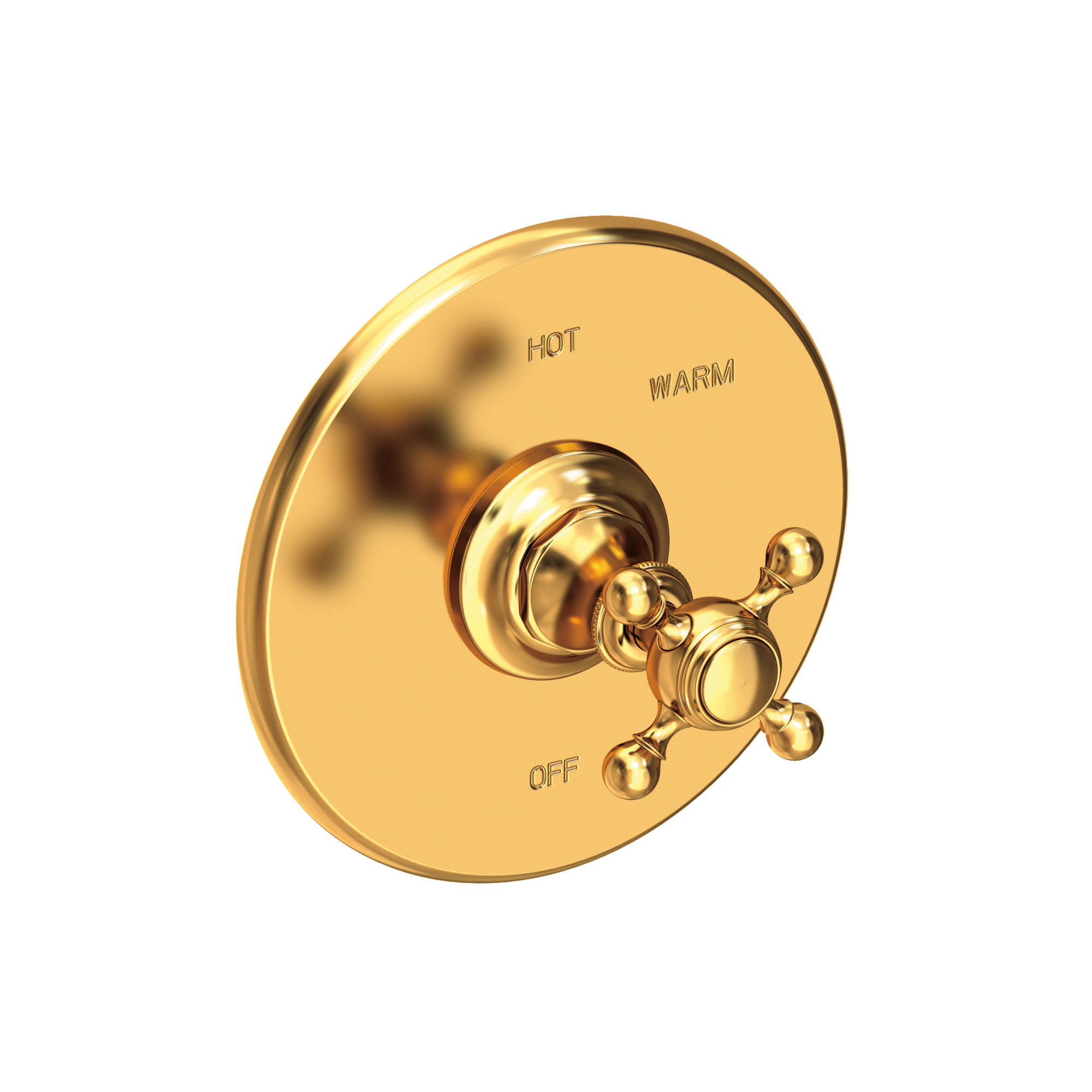 Newport Brass Victoria Balanced Pressure Shower Trim Plate with Handle