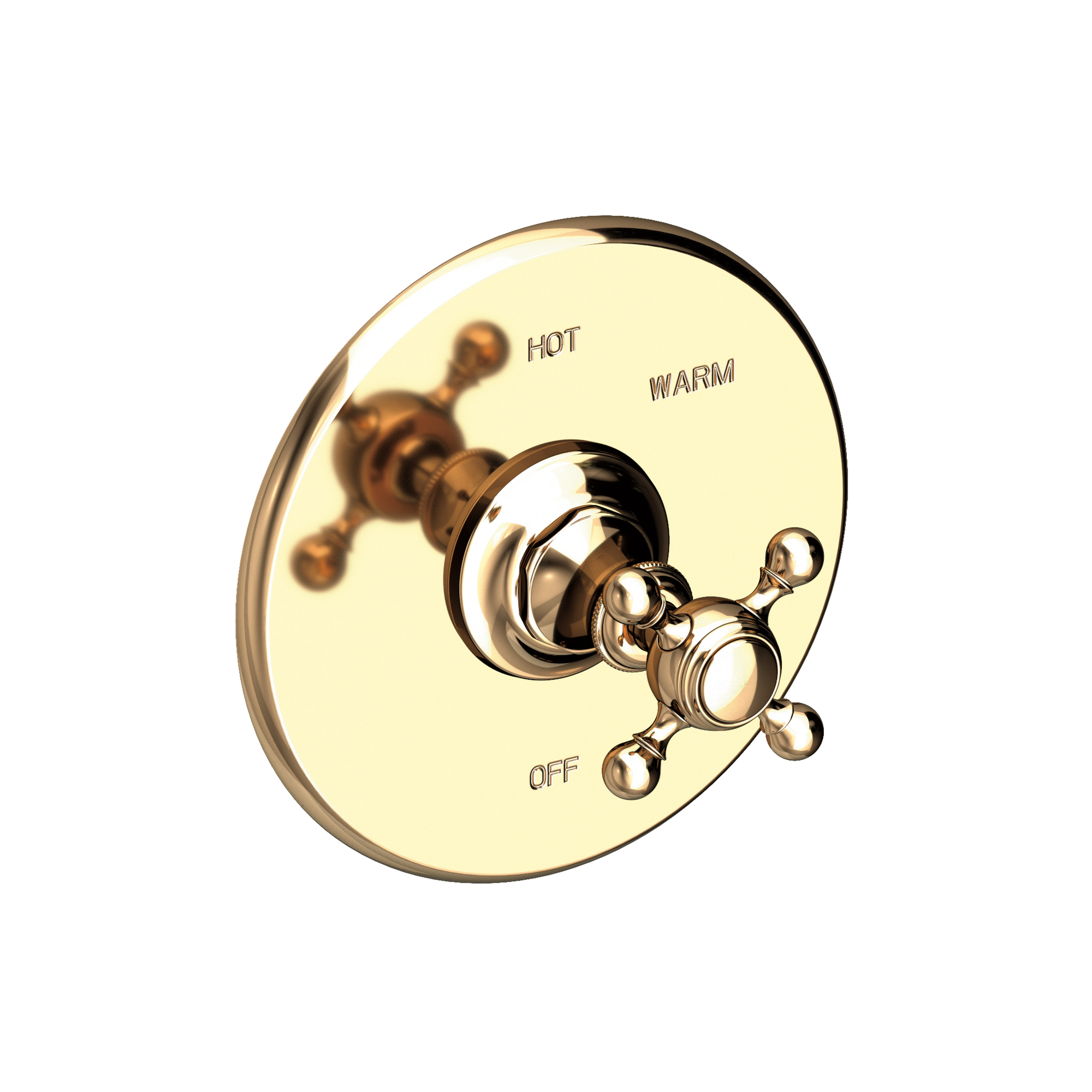 Newport Brass Victoria Balanced Pressure Shower Trim Plate with Handle