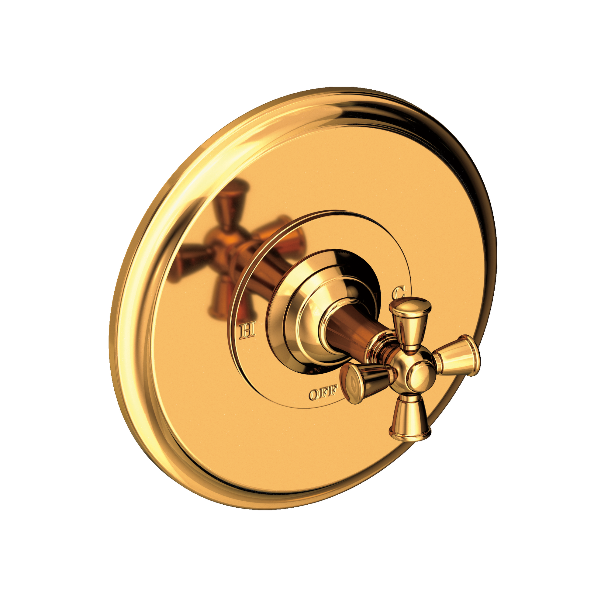 Newport Brass Aylesbury Balanced Pressure Shower Trim Plate with Handle