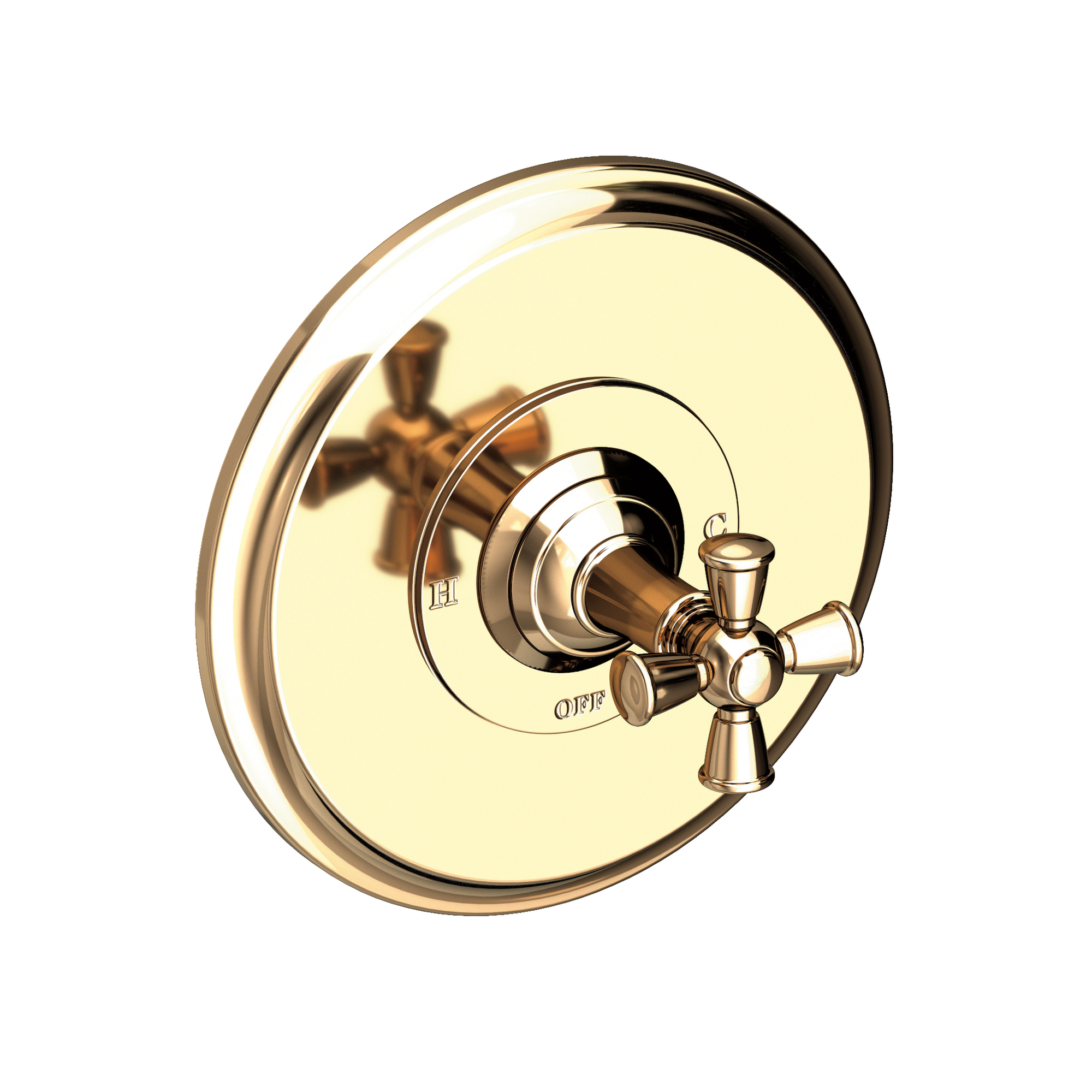 Newport Brass Aylesbury Balanced Pressure Shower Trim Plate with Handle