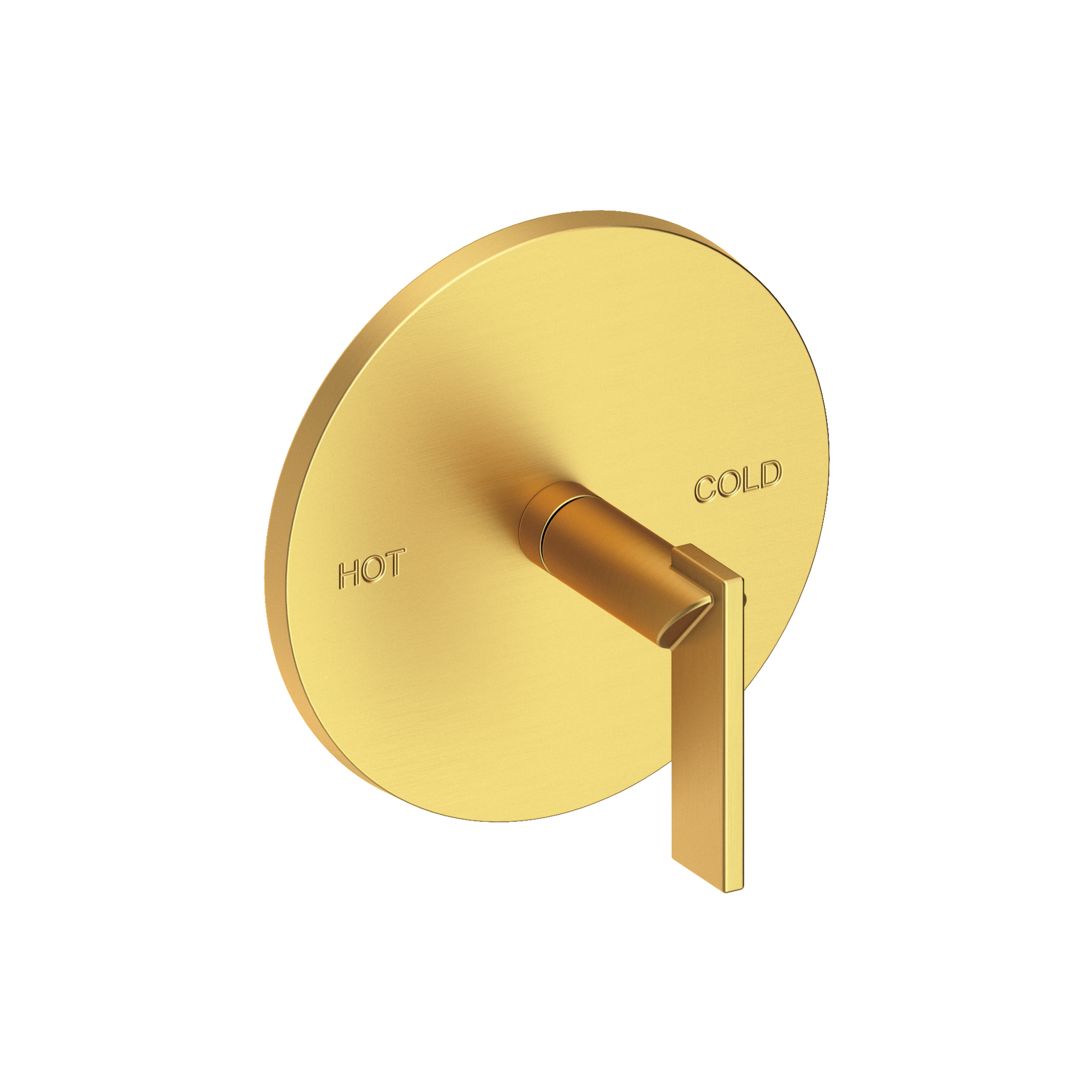 Newport Brass Keaton Balanced Pressure Shower Trim Plate with Handle