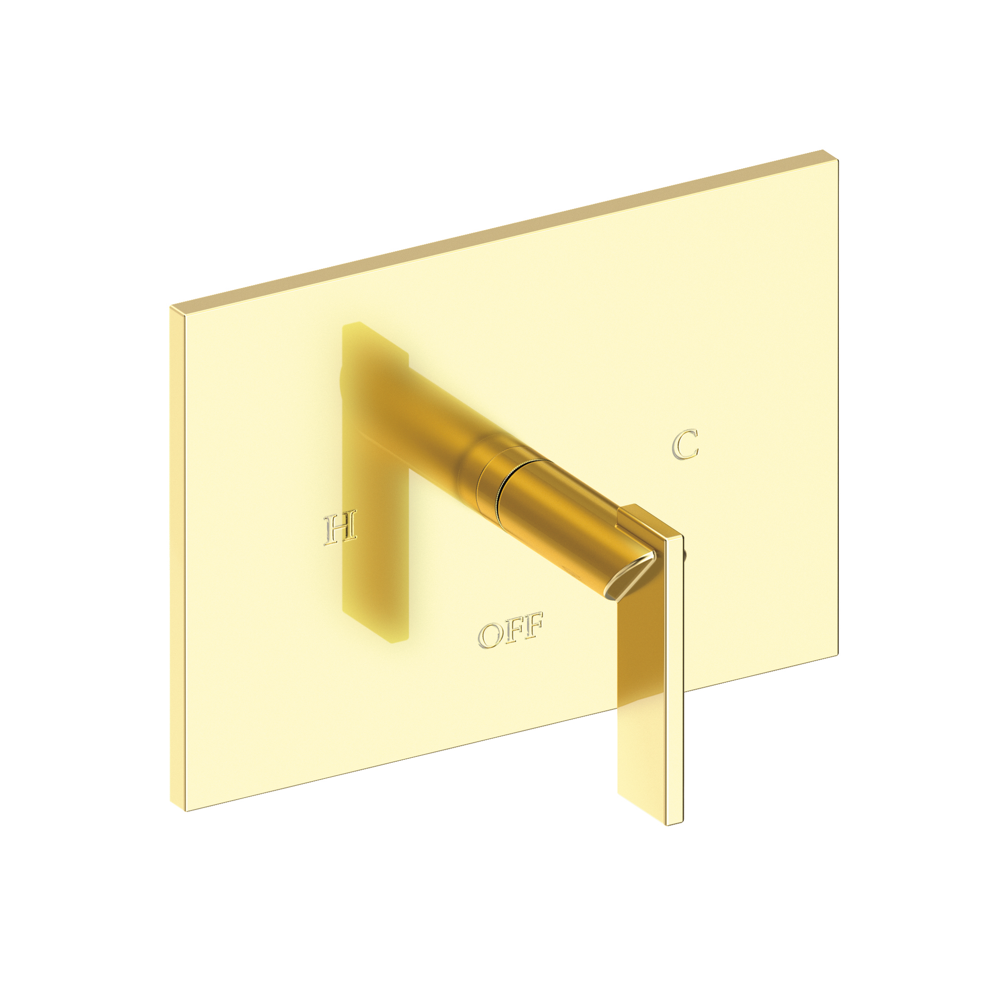 Newport Brass Metro® Balanced Pressure Shower Trim Plate with Handle