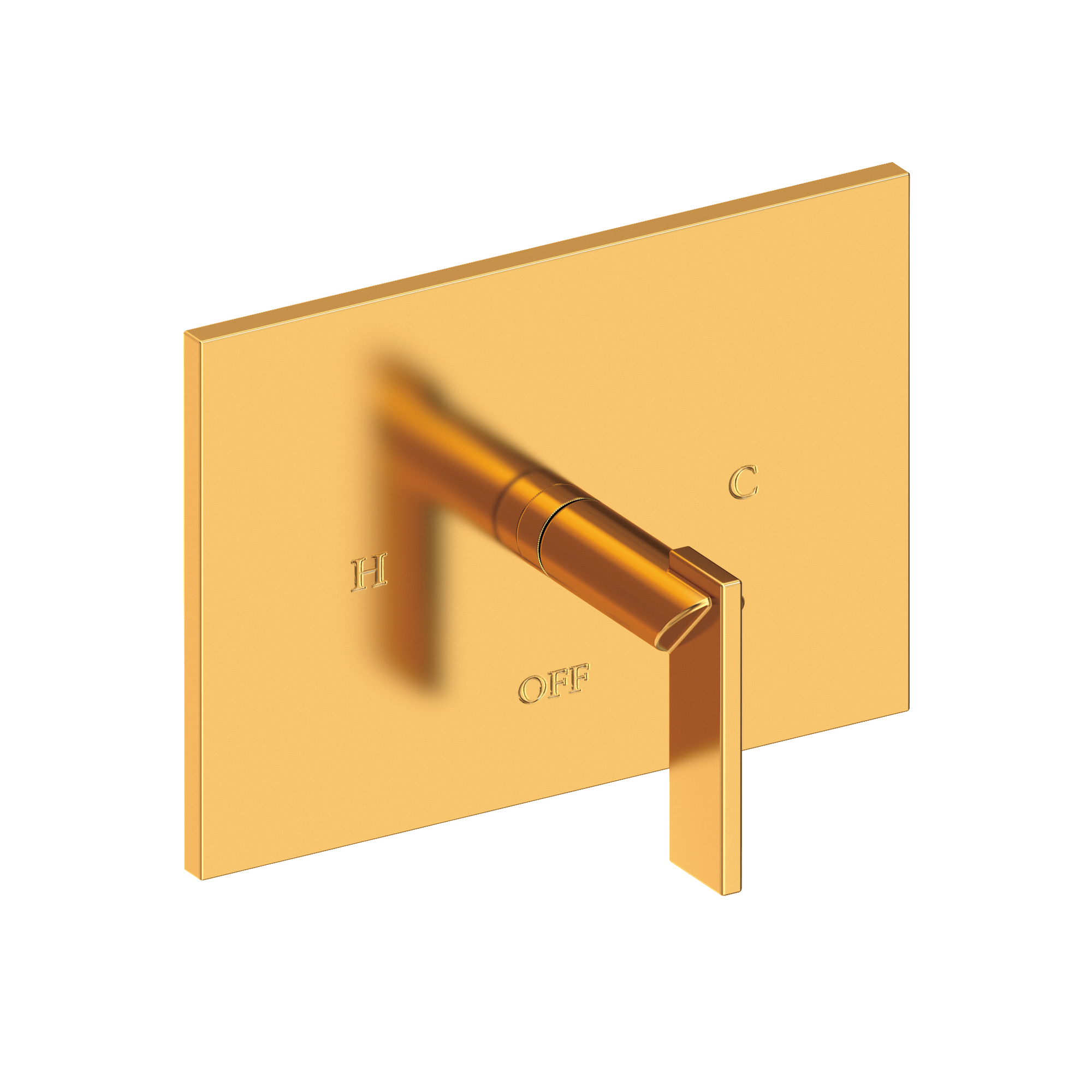 Newport Brass Metro® Balanced Pressure Shower Trim Plate with Handle