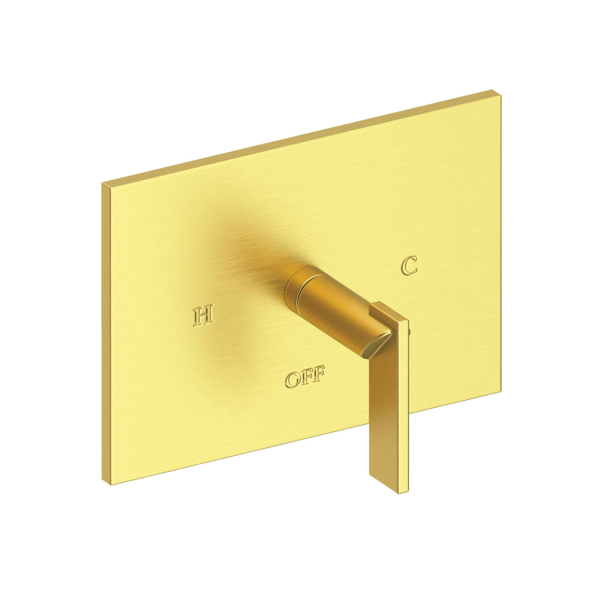 Newport Brass Metro® Balanced Pressure Shower Trim Plate with Handle