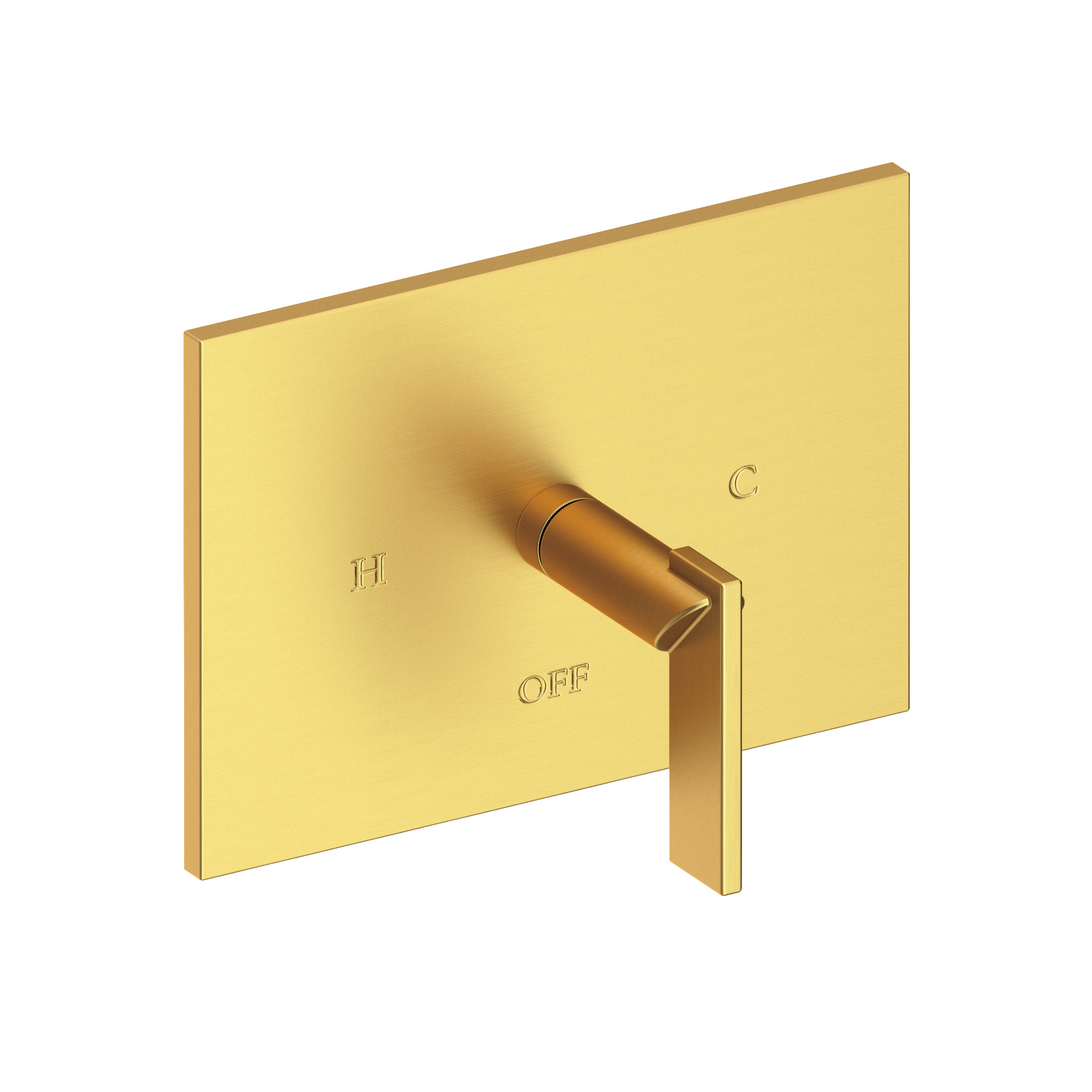 Newport Brass Metro® Balanced Pressure Shower Trim Plate with Handle