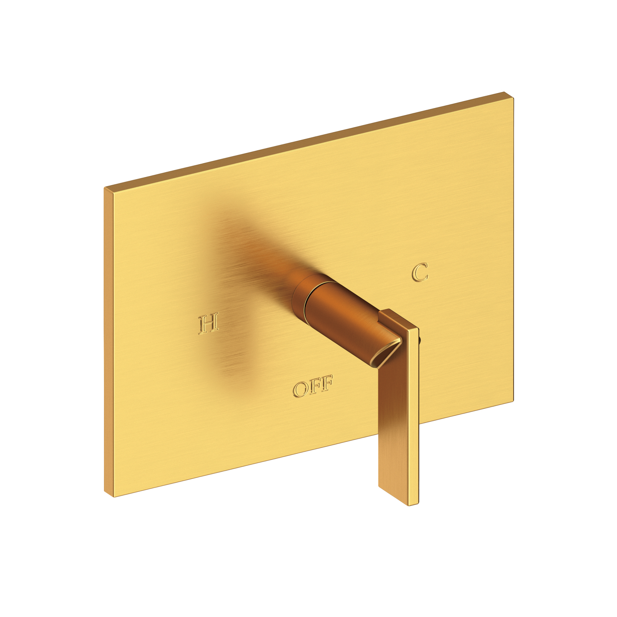 Newport Brass Metro® Balanced Pressure Shower Trim Plate with Handle