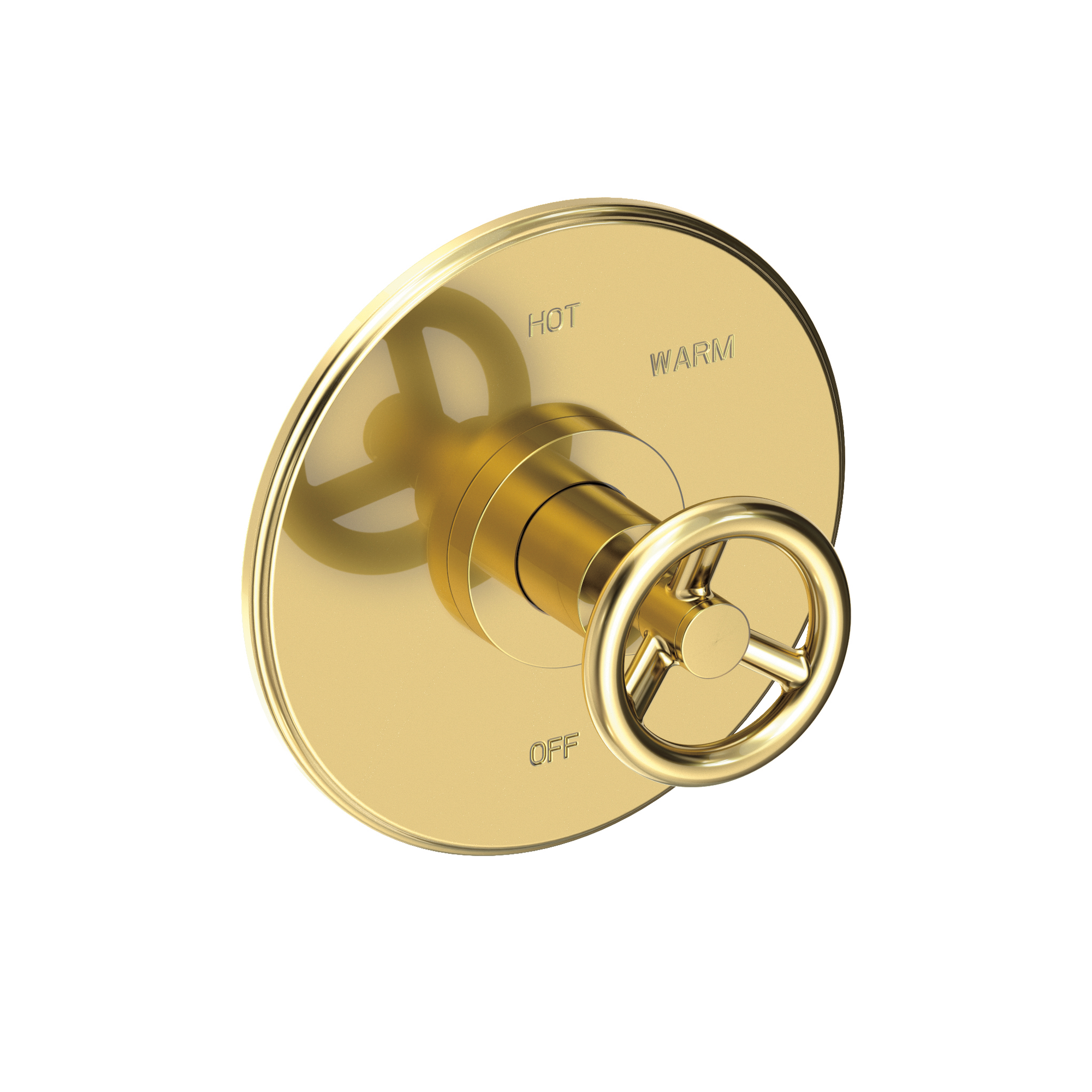 Newport Brass Slater® Balanced Pressure Shower Trim Plate with Handle