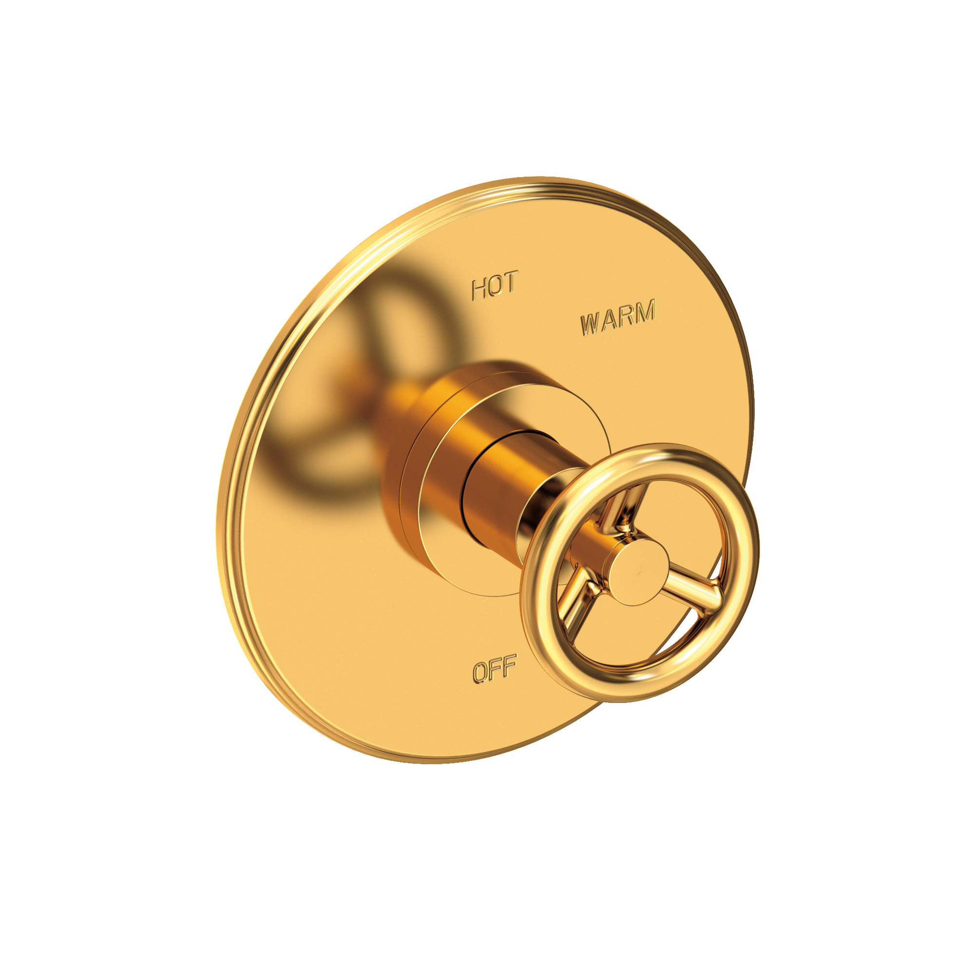 Newport Brass Slater® Balanced Pressure Shower Trim Plate with Handle
