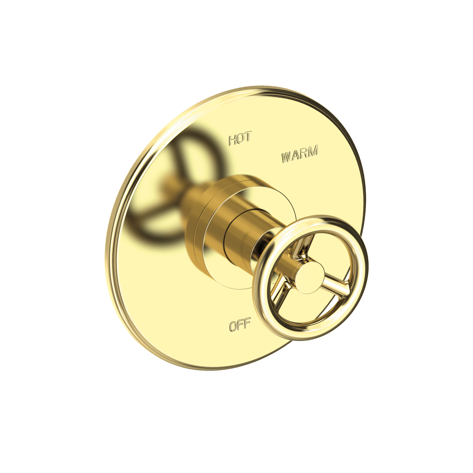 Newport Brass Slater® Balanced Pressure Shower Trim Plate with Handle